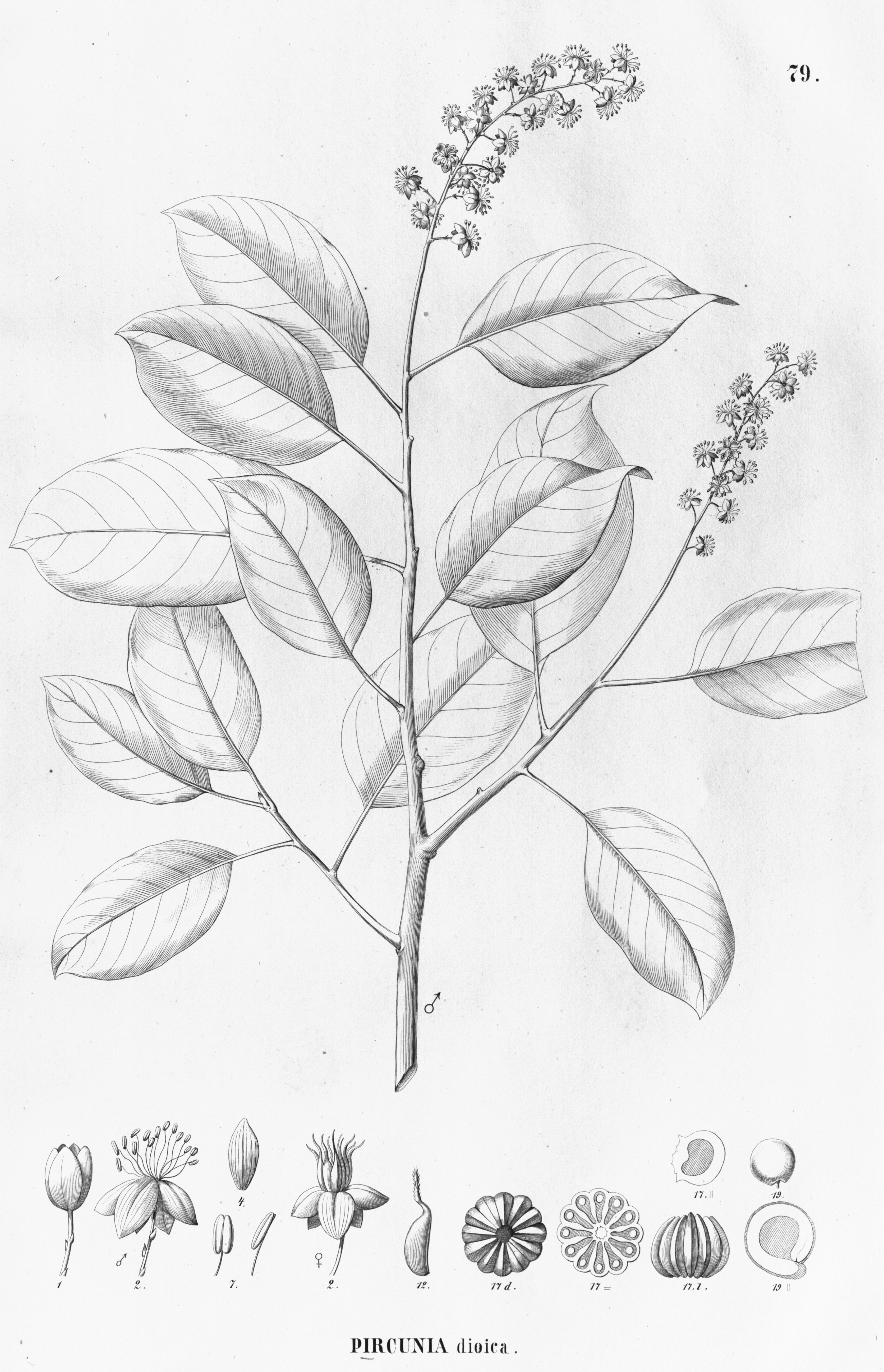 no full size  illustration available (3a)