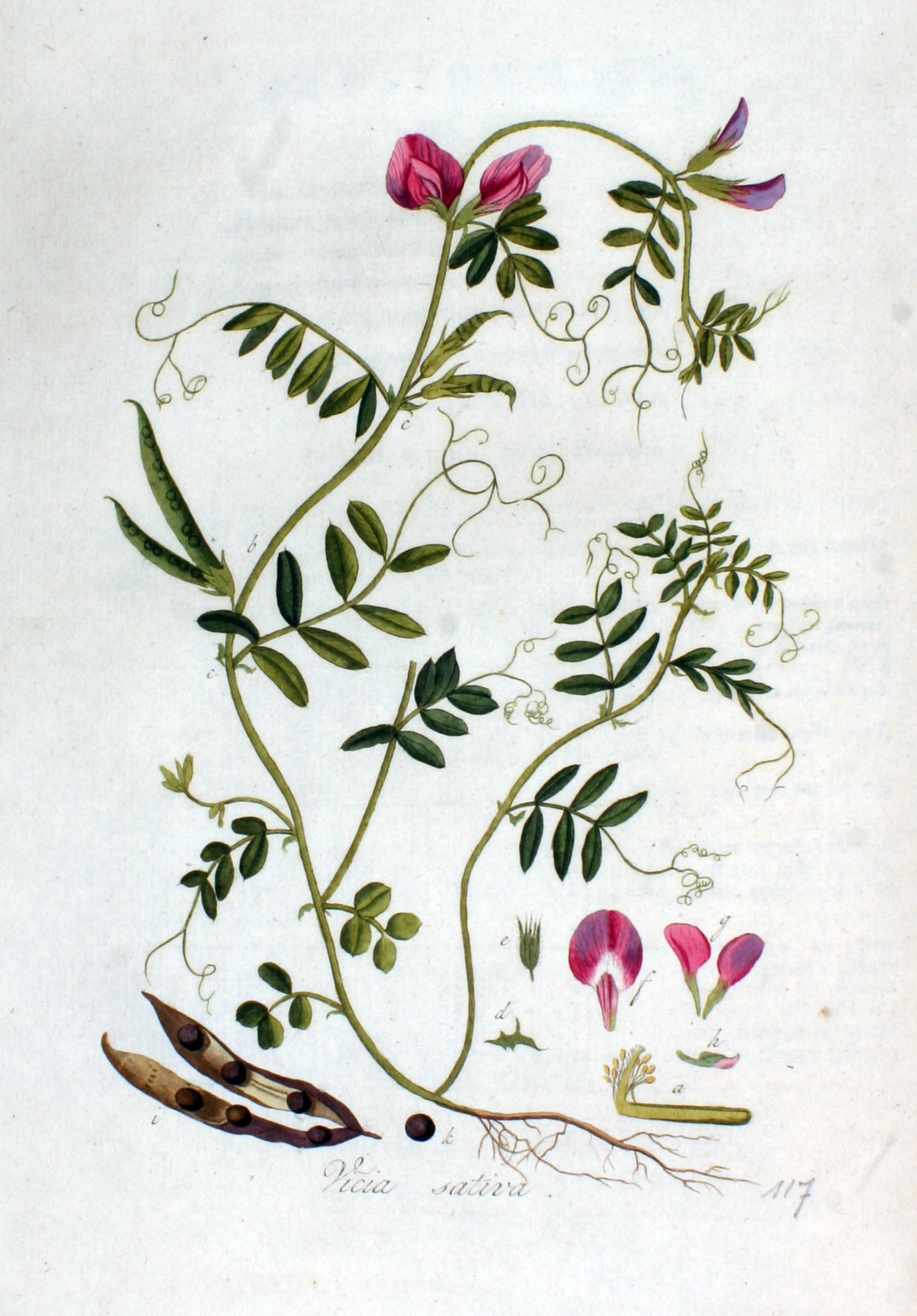 no full size  illustration available (3a)