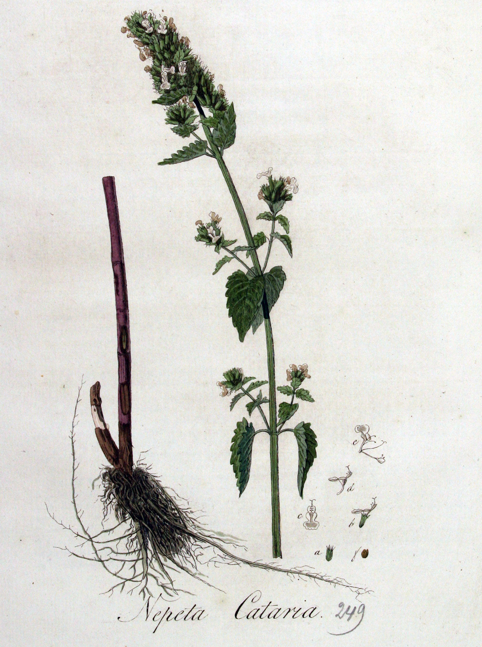 no full size  illustration available (3a)