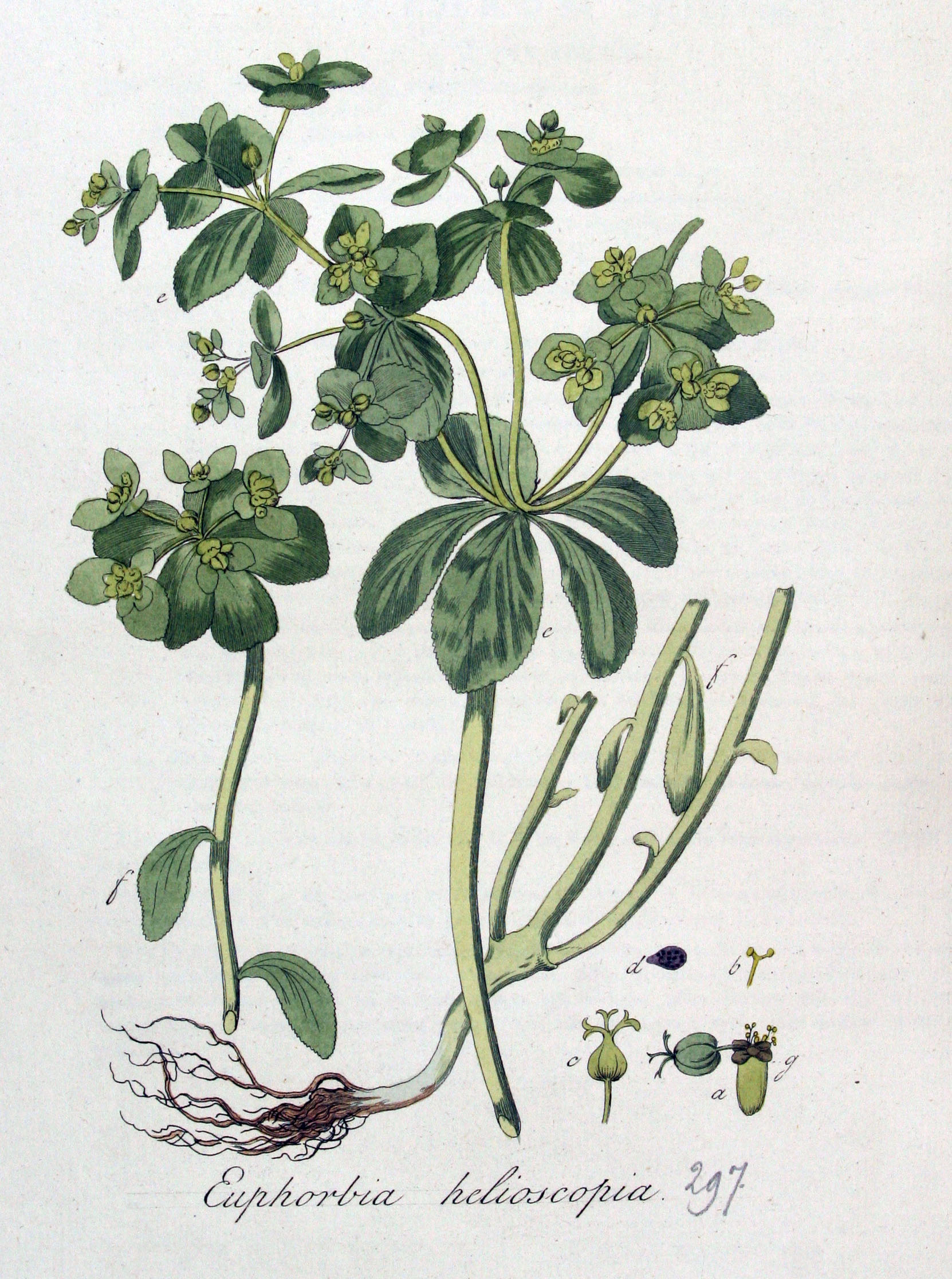 no full size  illustration available (3a)