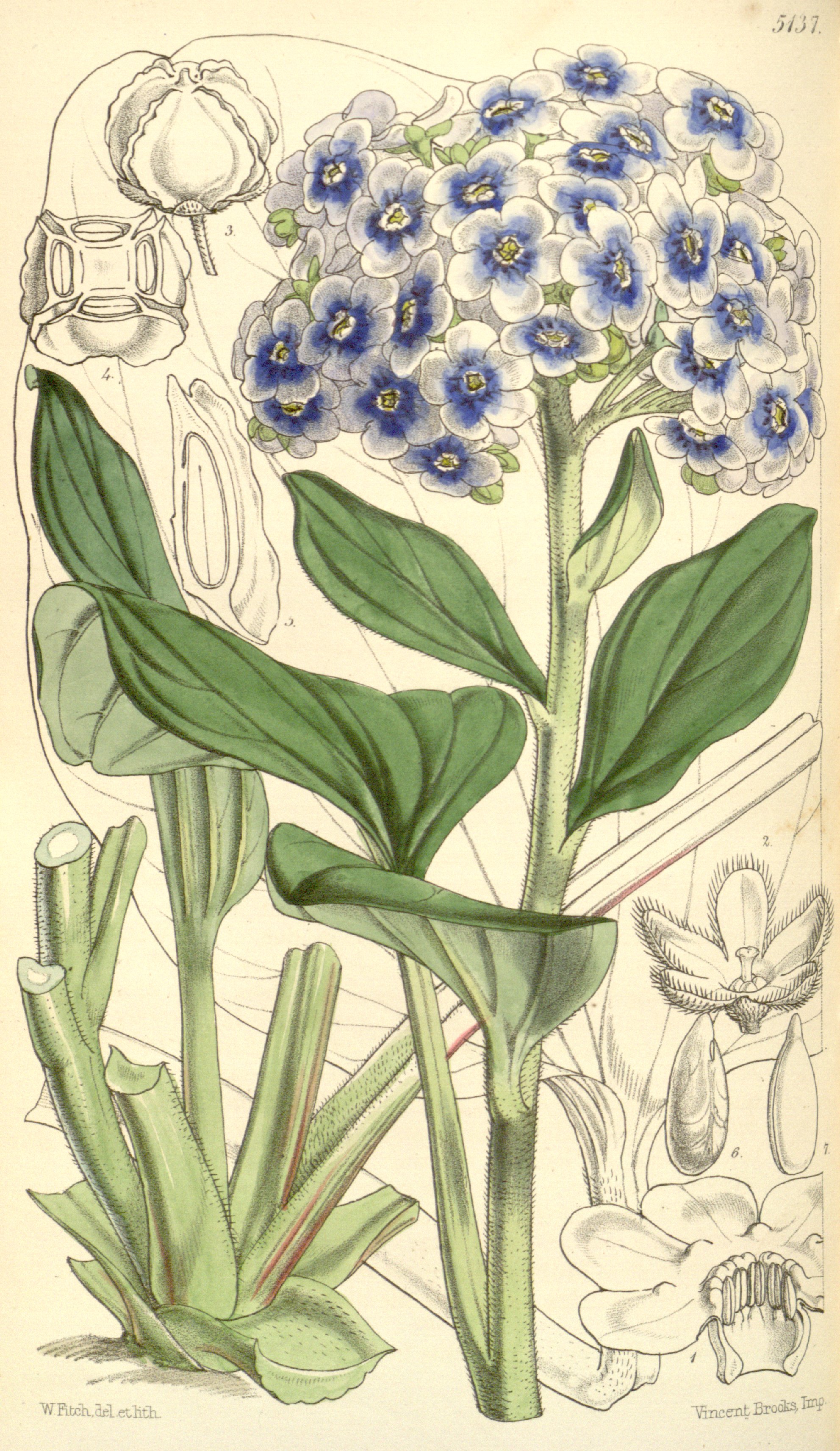 no full size  illustration available (3a)