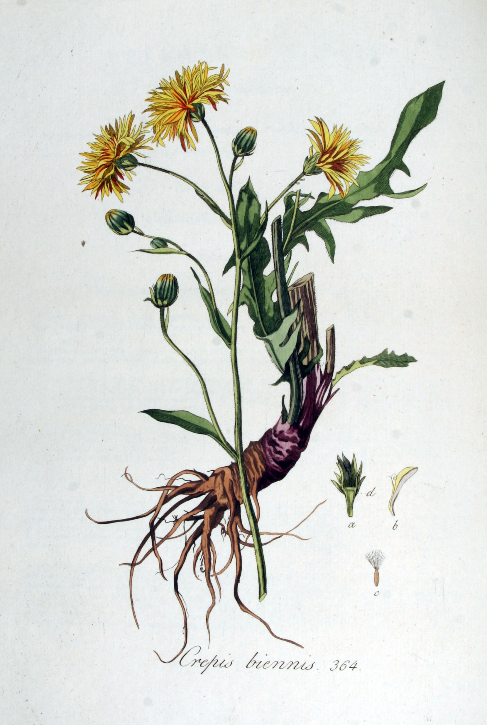 no full size  illustration available (3a)