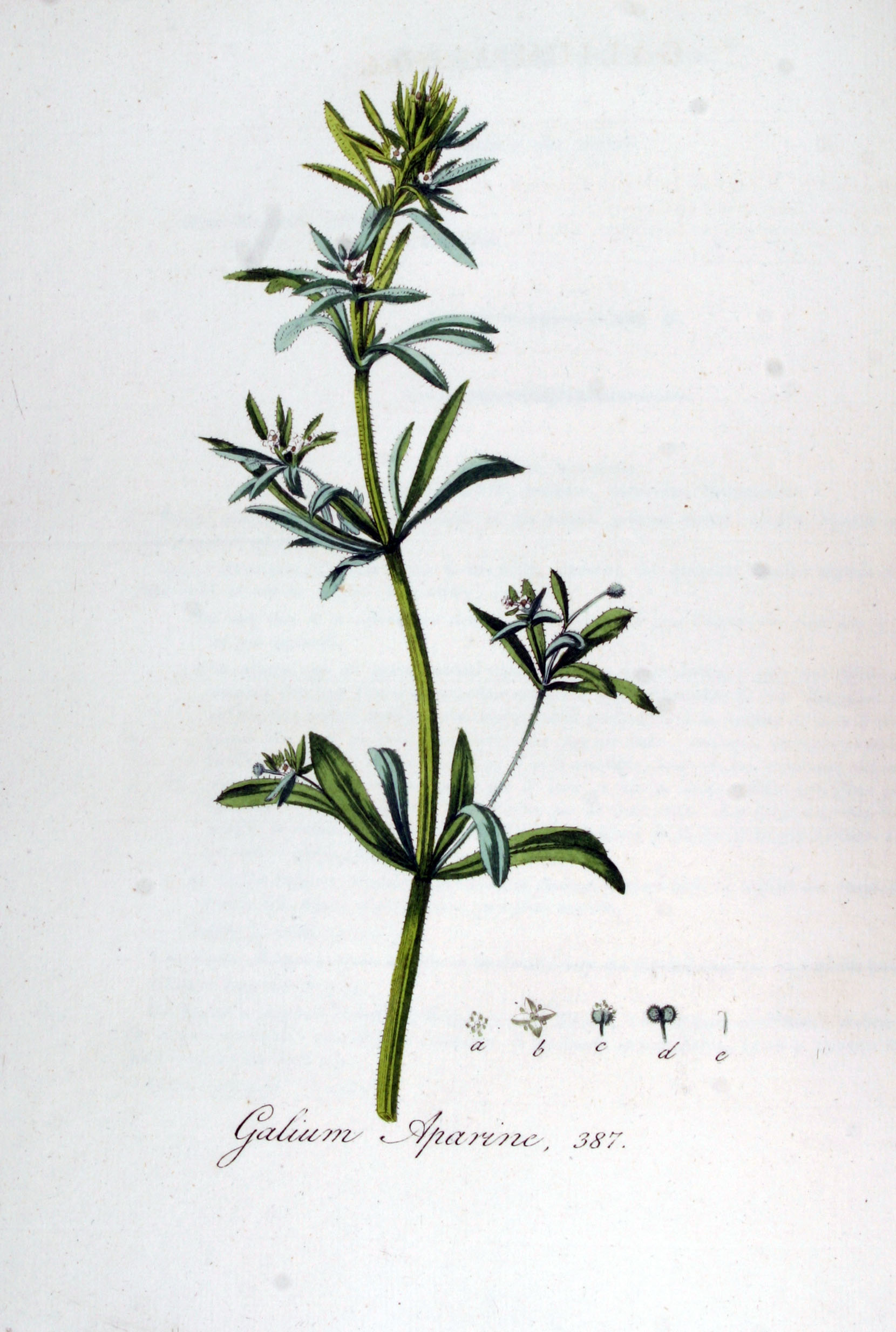 no full size  illustration available (3a)