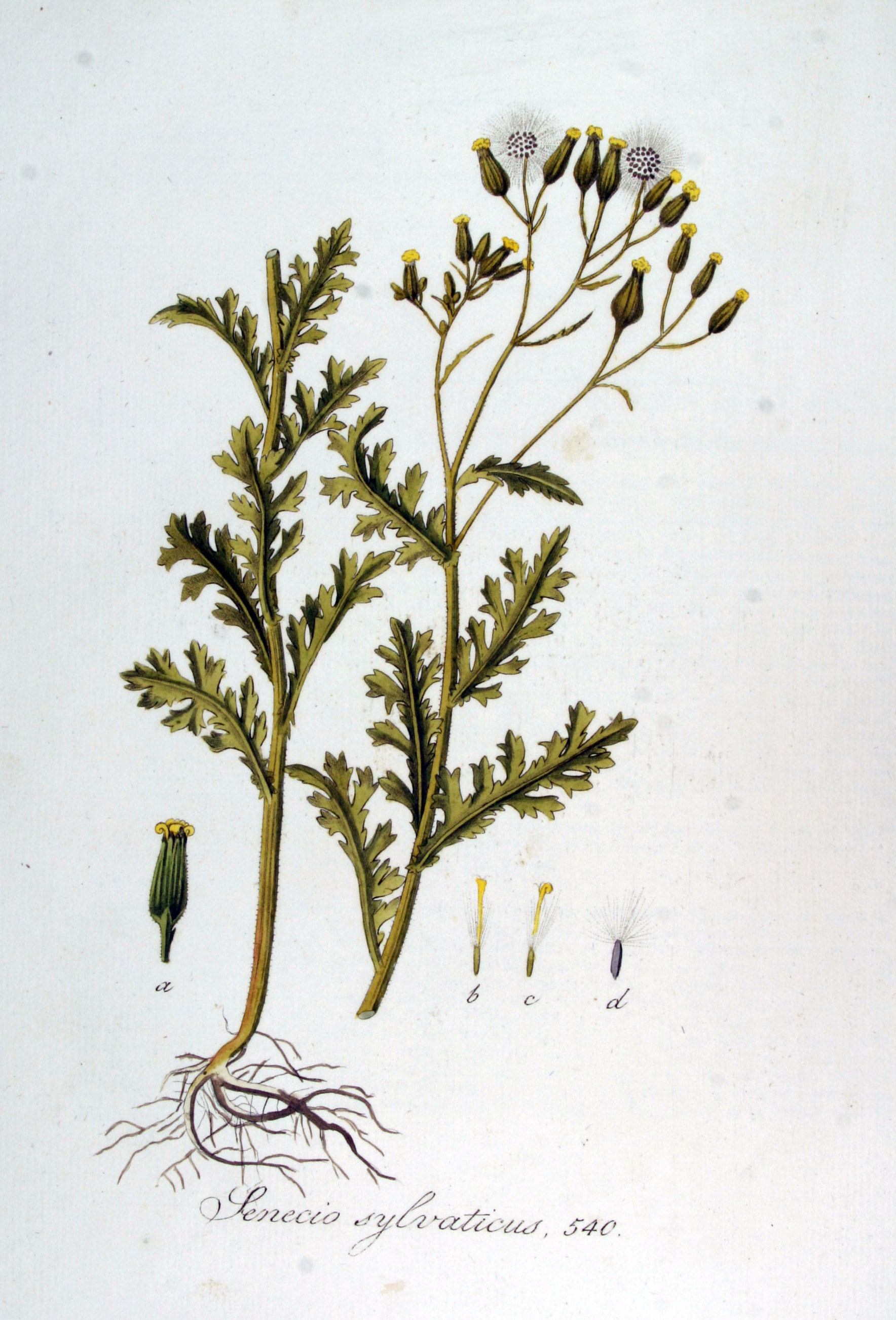 no full size  illustration available (3a)