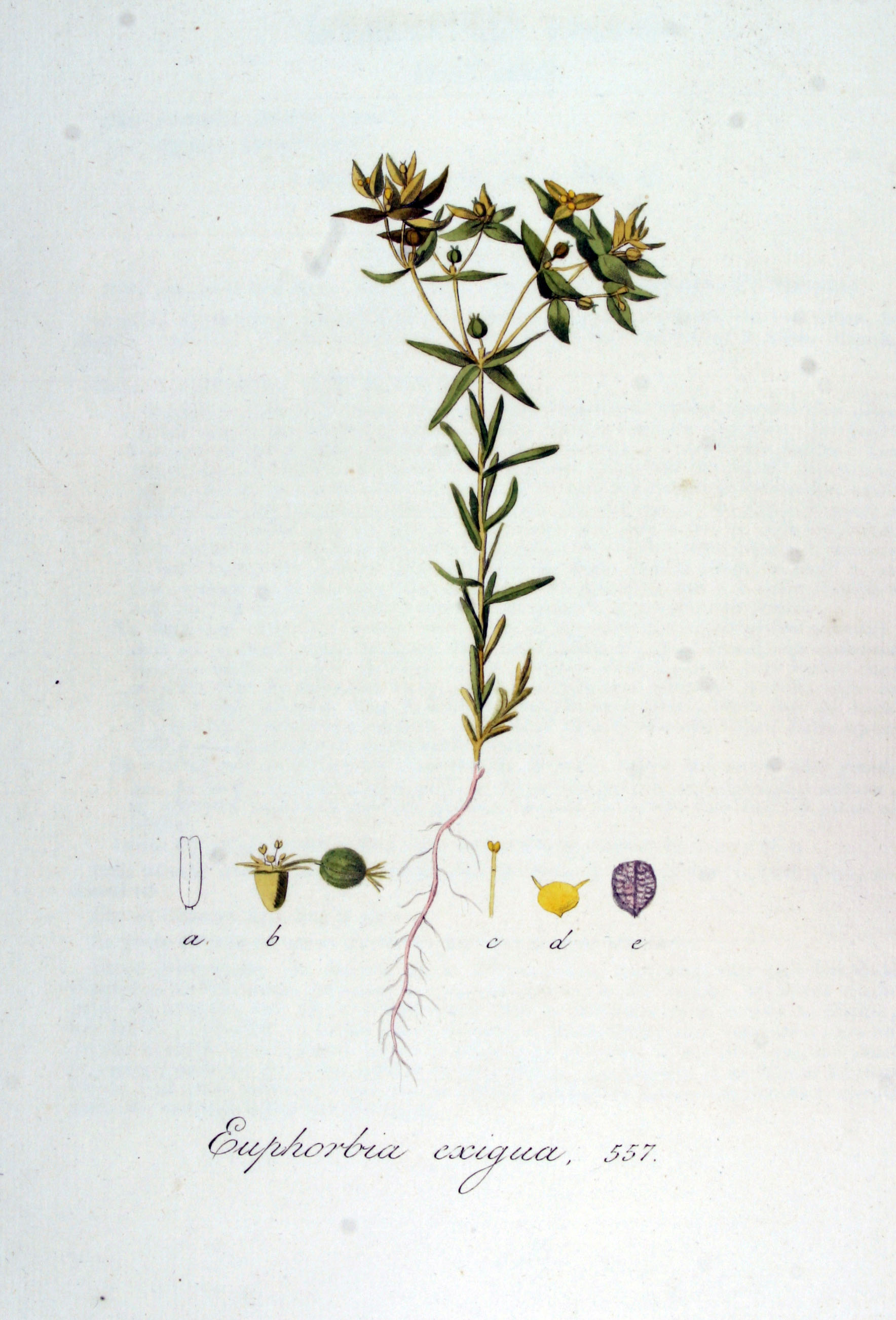 no full size  illustration available (3a)