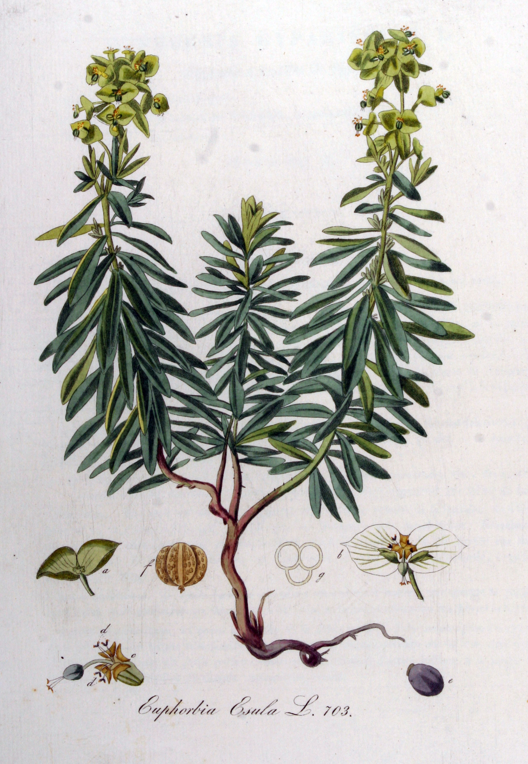 no full size  illustration available (3a)