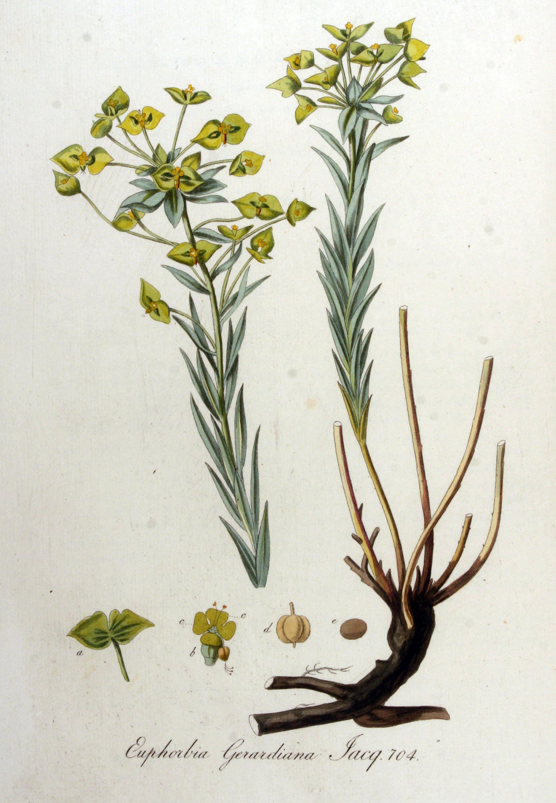 no full size  illustration available (3a)