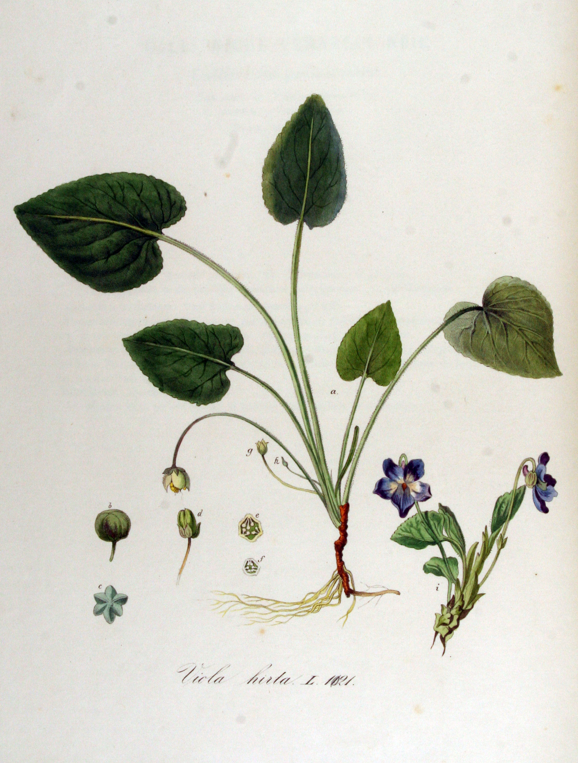 no full size  illustration available (3a)