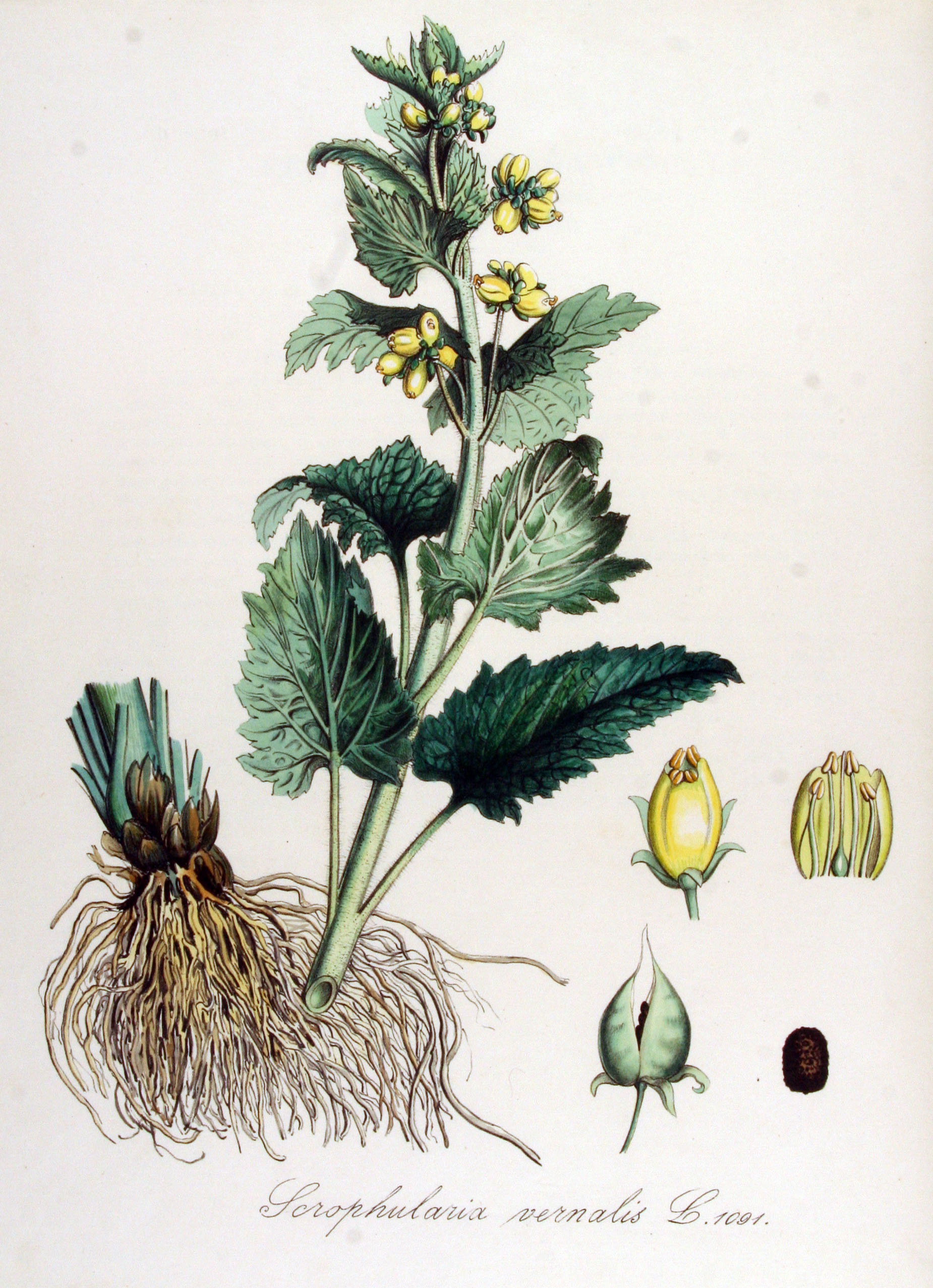 no full size  illustration available (3a)