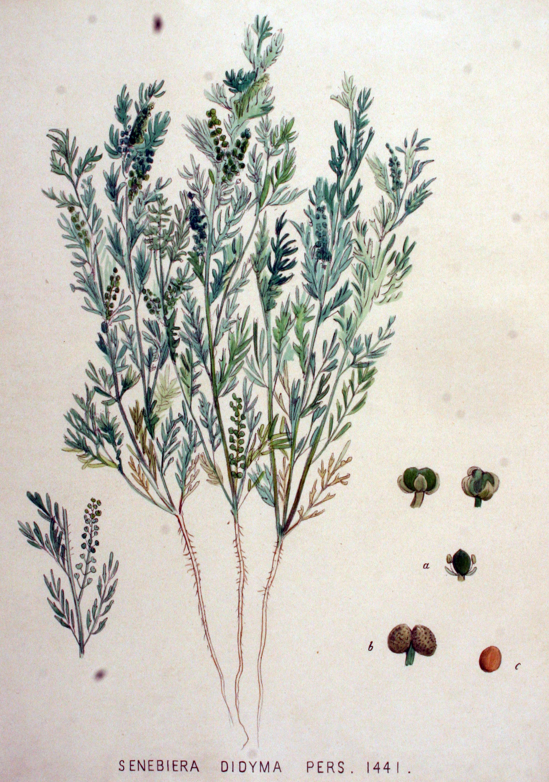 no full size  illustration available (3a)