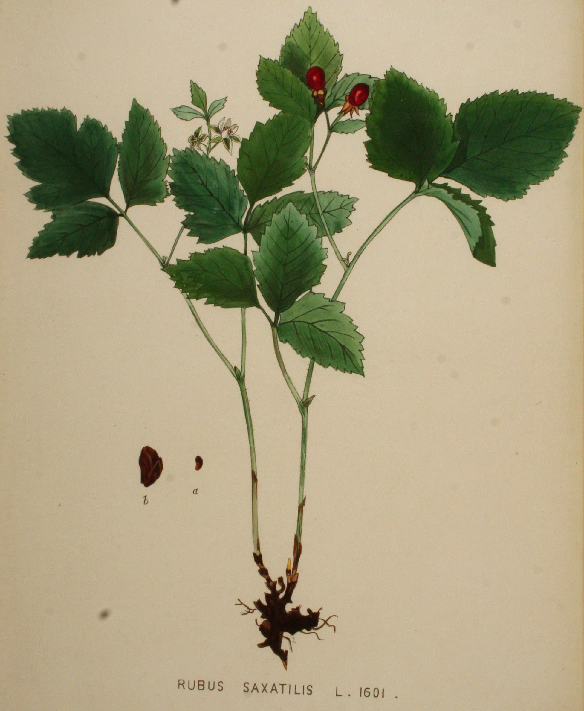 no full size  illustration available (3a)