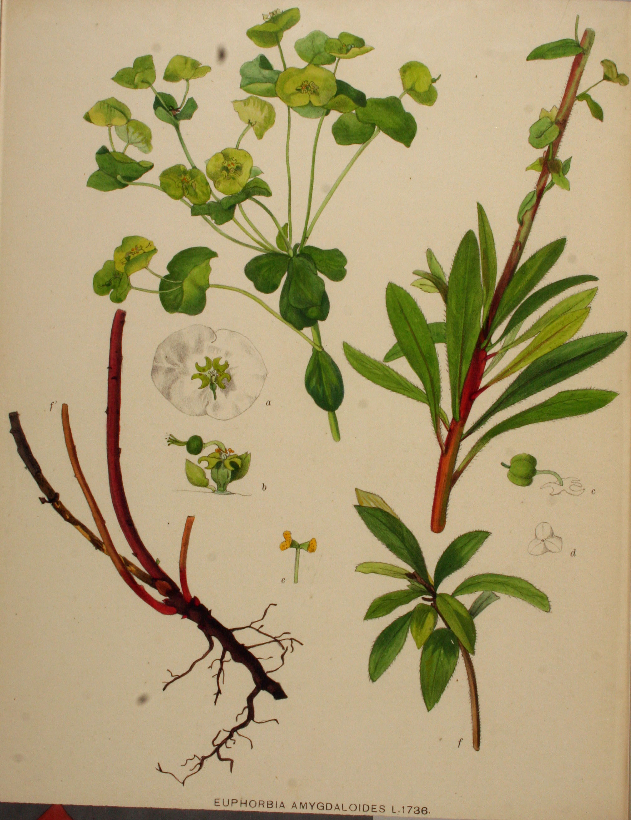 no full size  illustration available (3a)