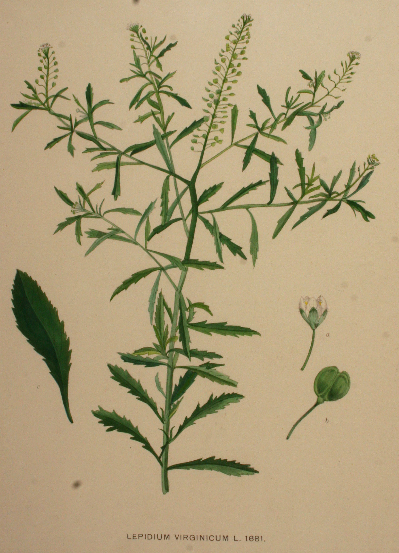 no full size  illustration available (3a)