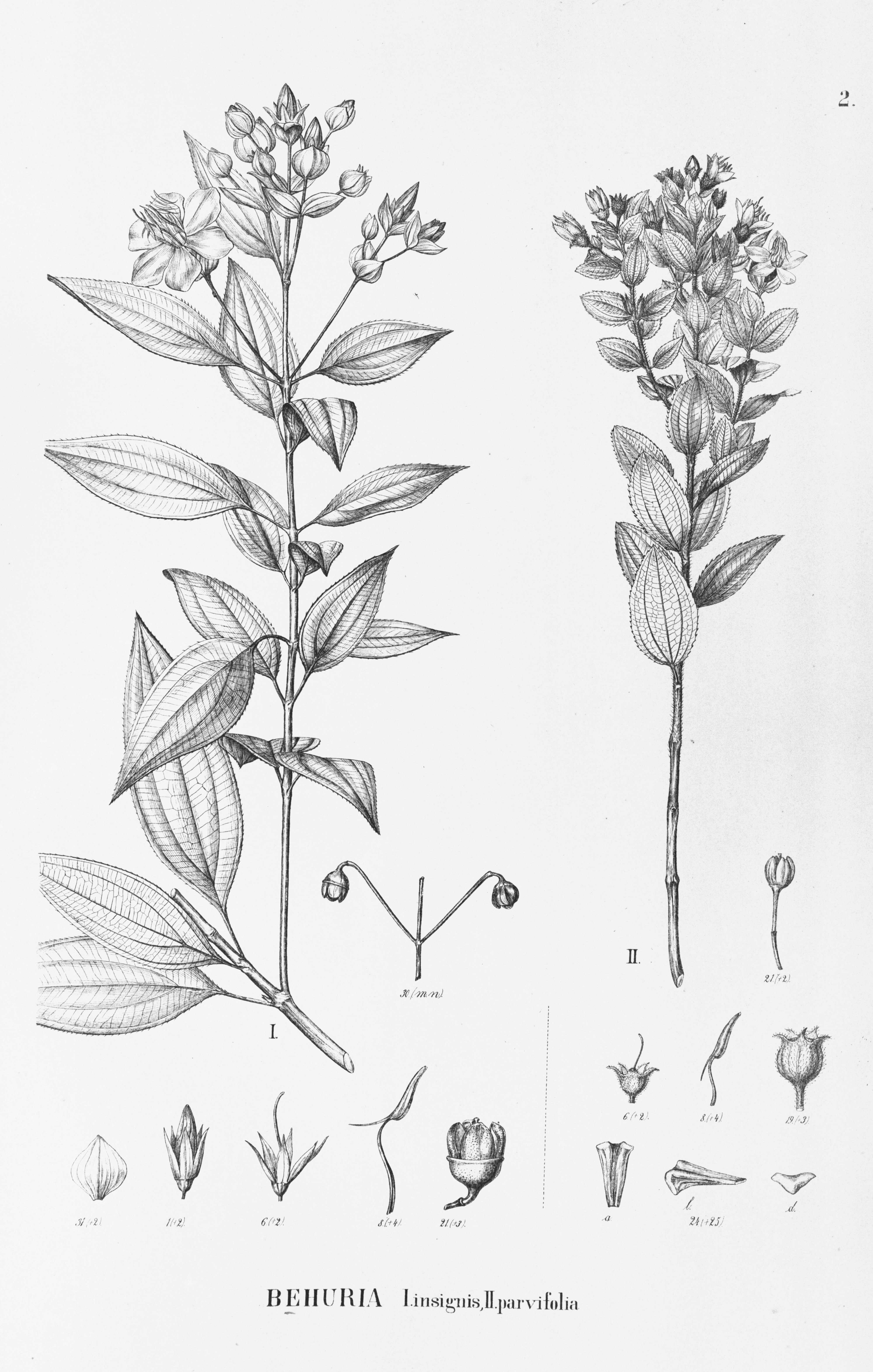 no full size  illustration available (3a)