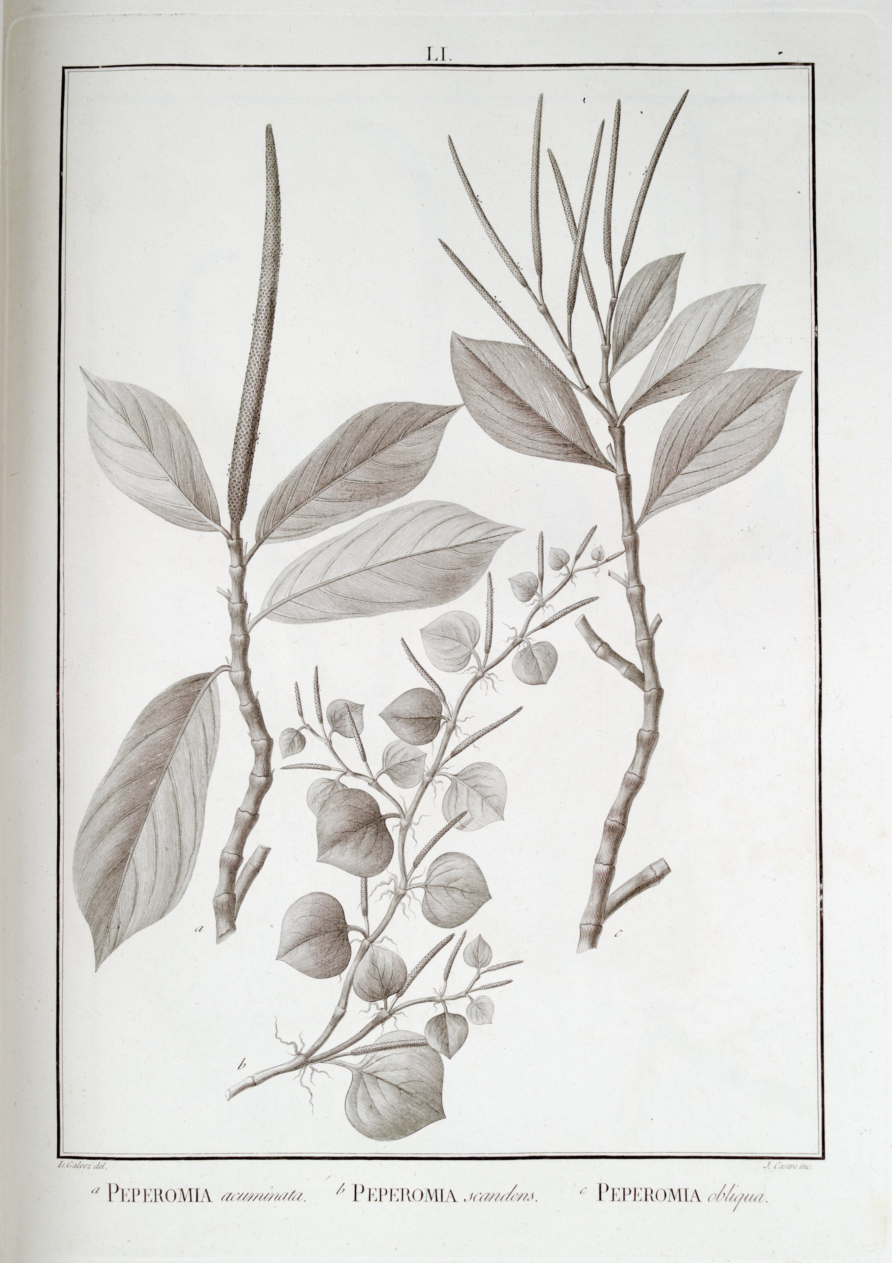 no full size  illustration available (3a)