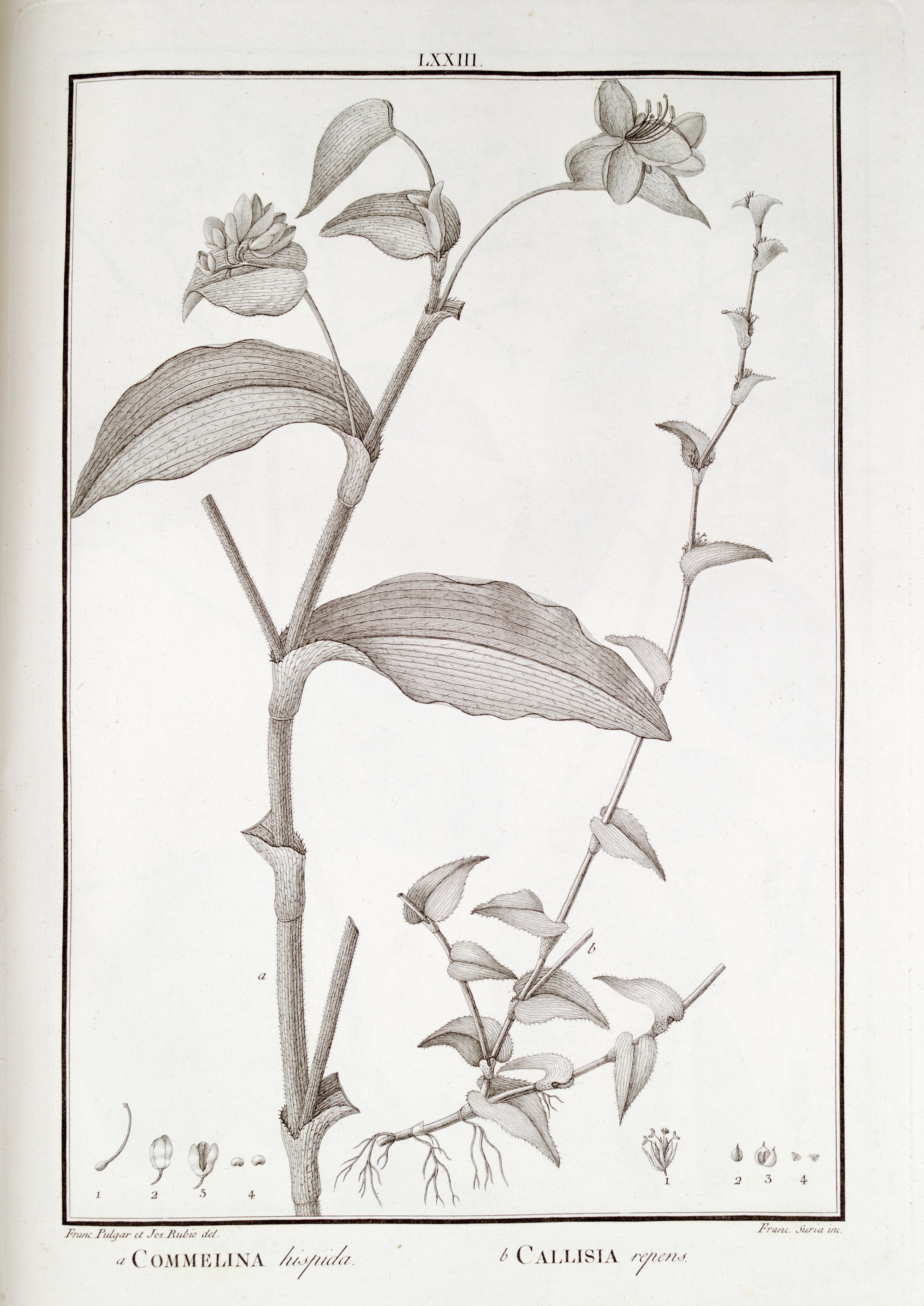 no full size  illustration available (3a)