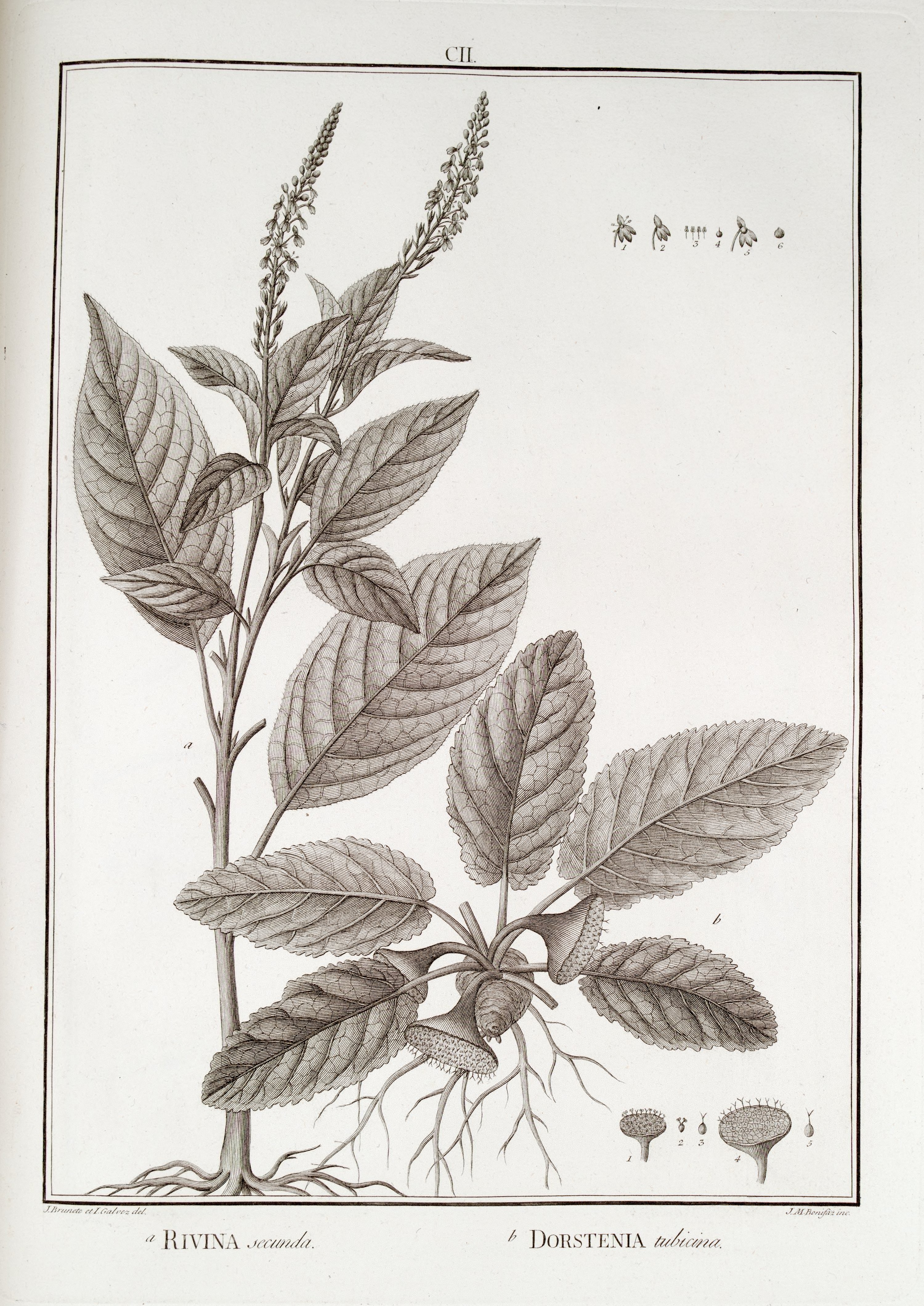 no full size  illustration available (3a)