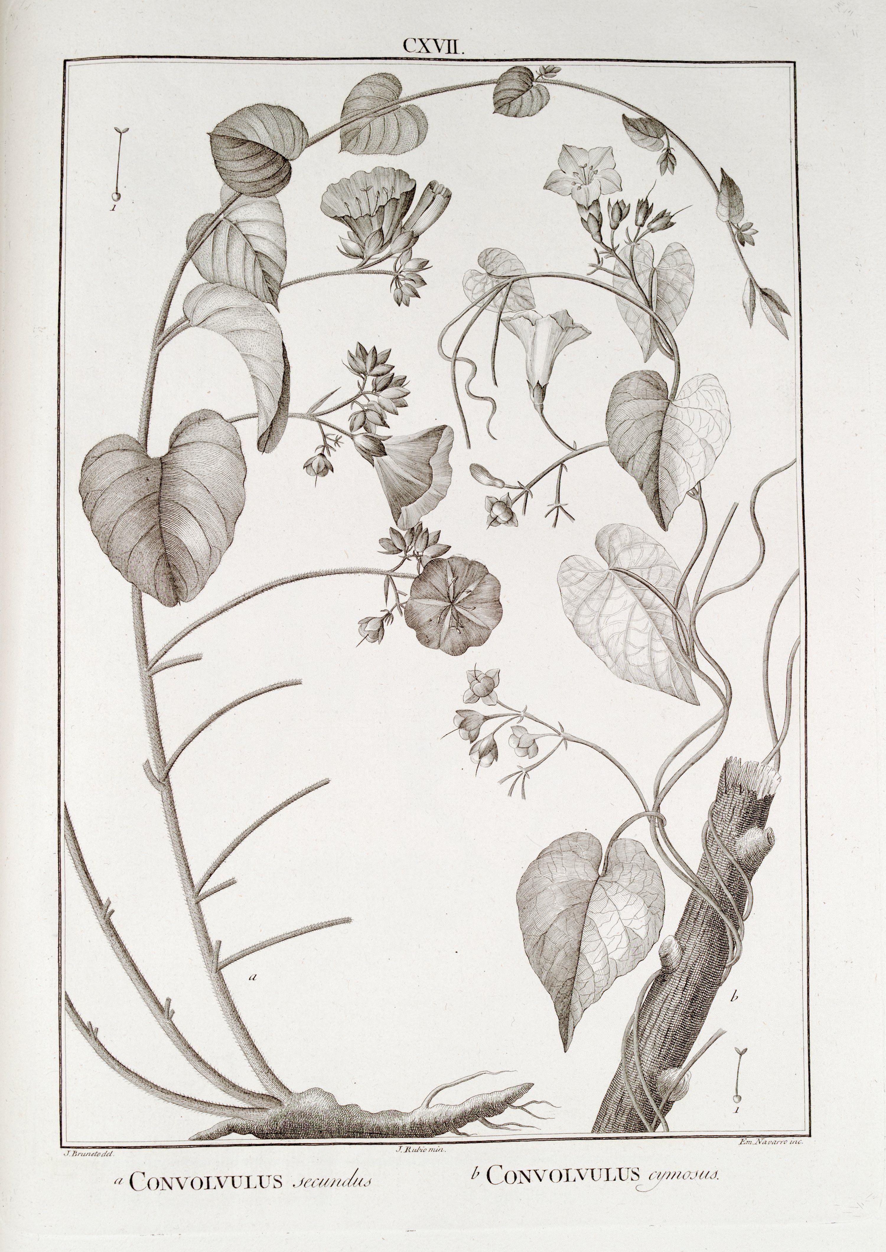 no full size  illustration available (3a)