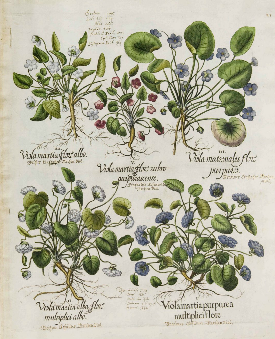 no full size  illustration available (3a)