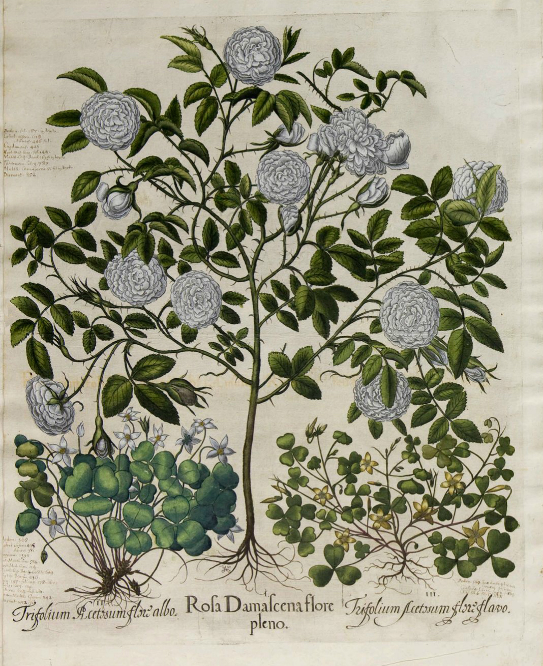 no full size  illustration available (3a)