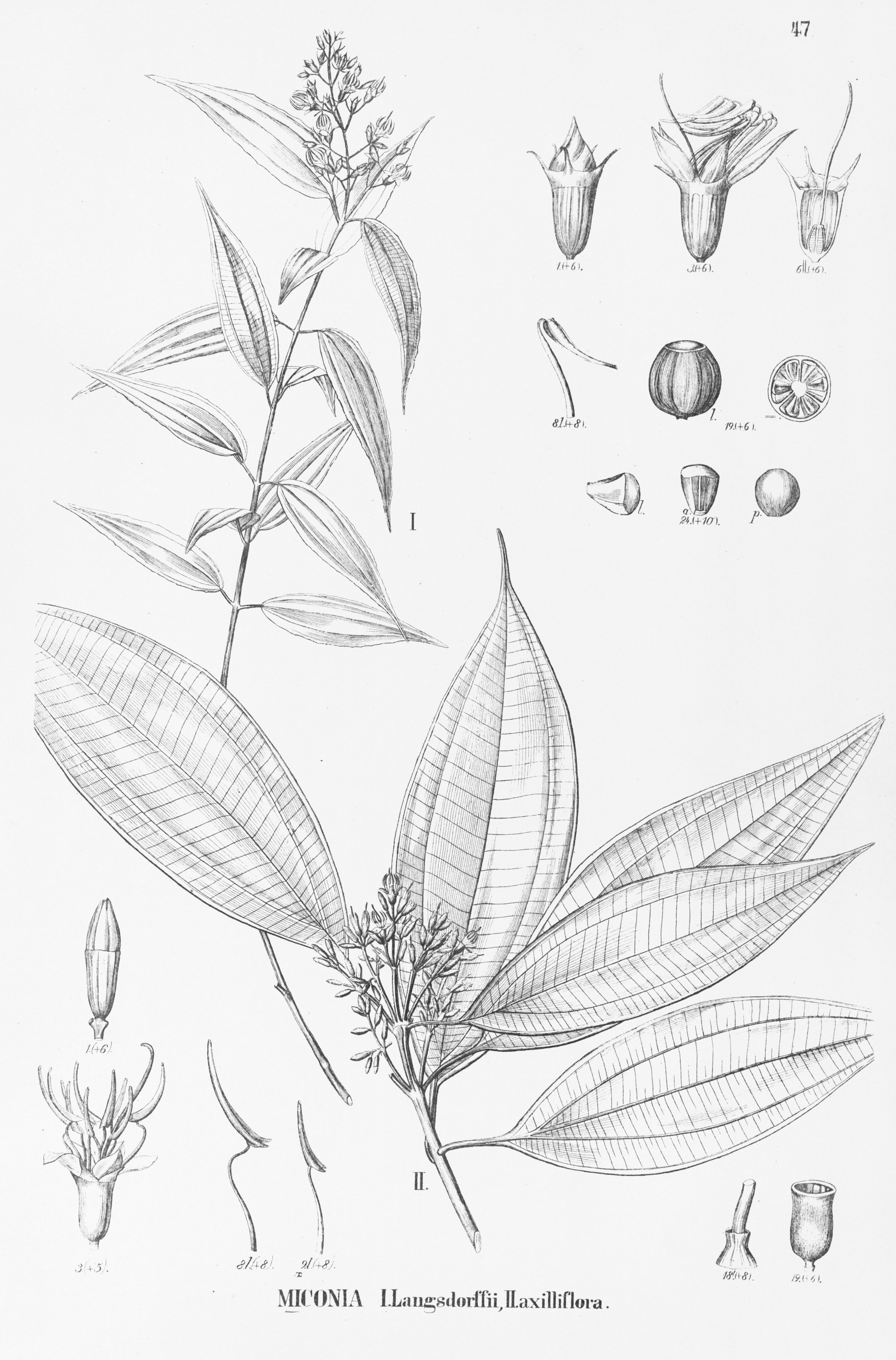 no full size  illustration available (3a)