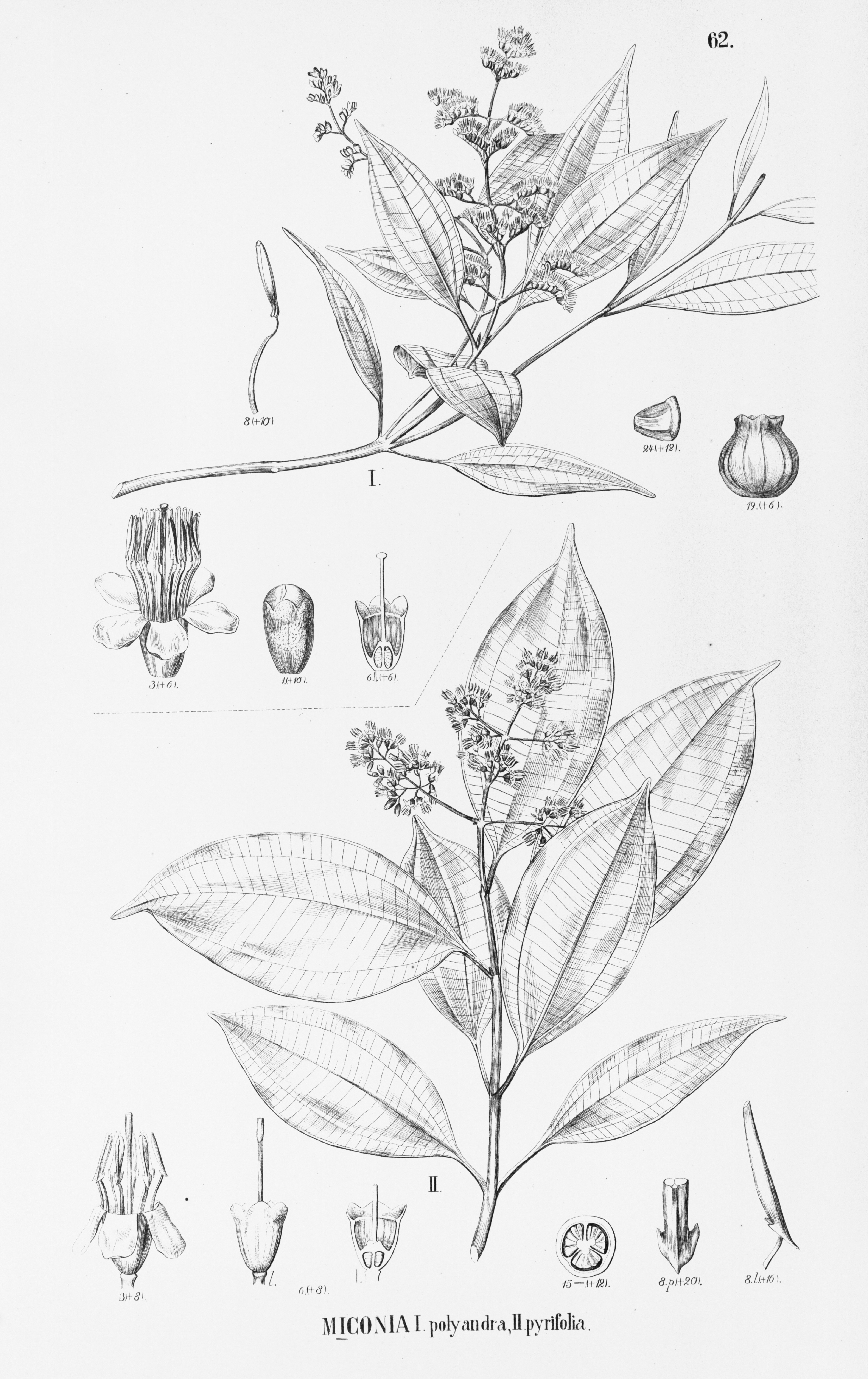 no full size  illustration available (3a)