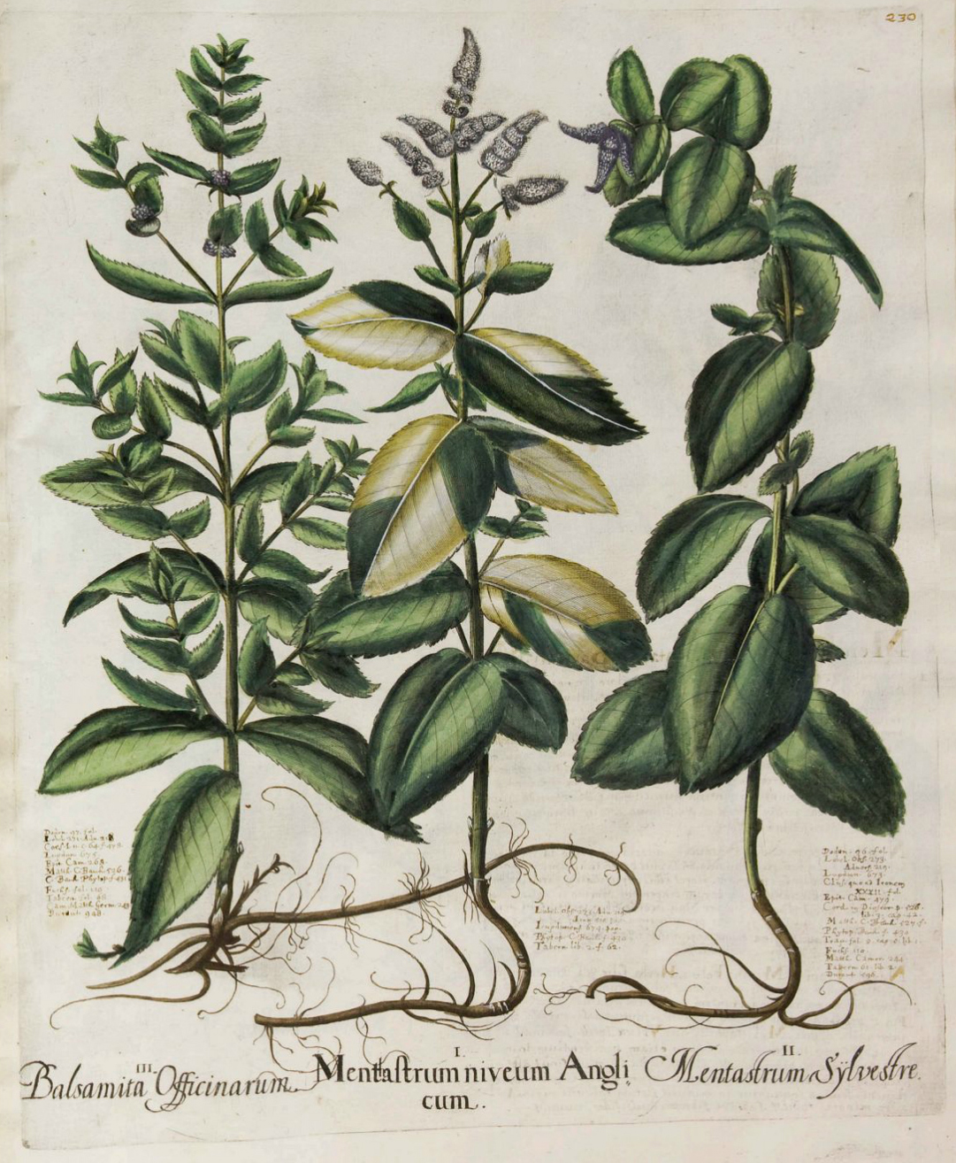 no full size  illustration available (3a)