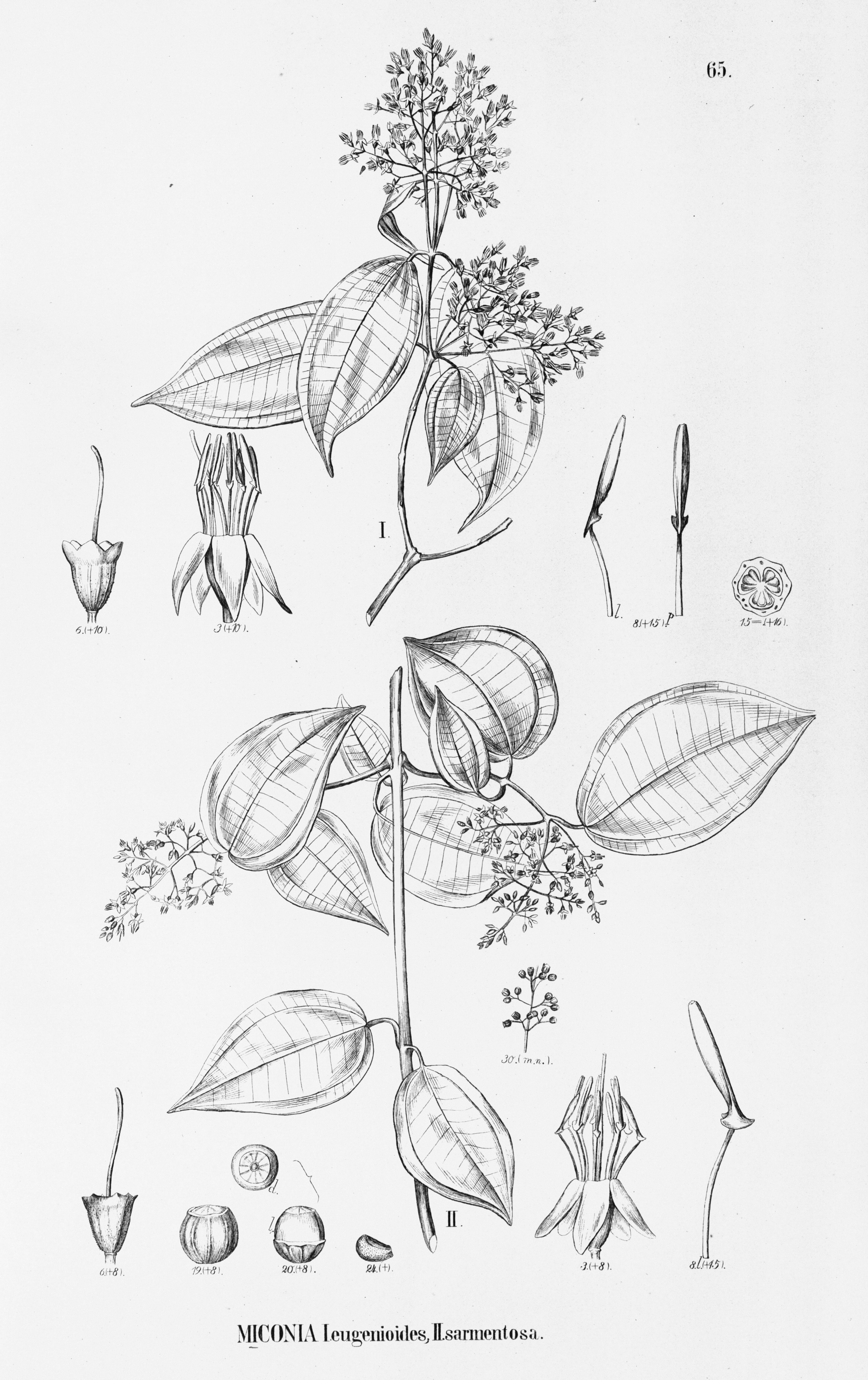 no full size  illustration available (3a)