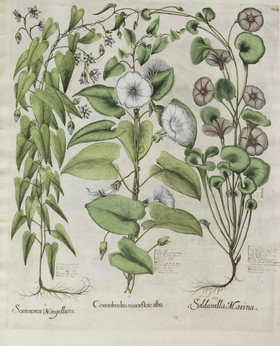 no full size  illustration available (3a)