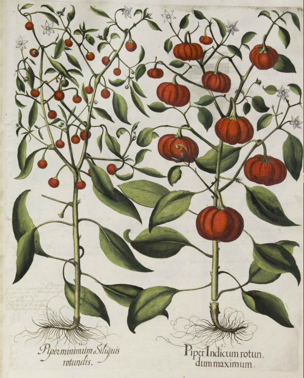 no full size  illustration available (3a)