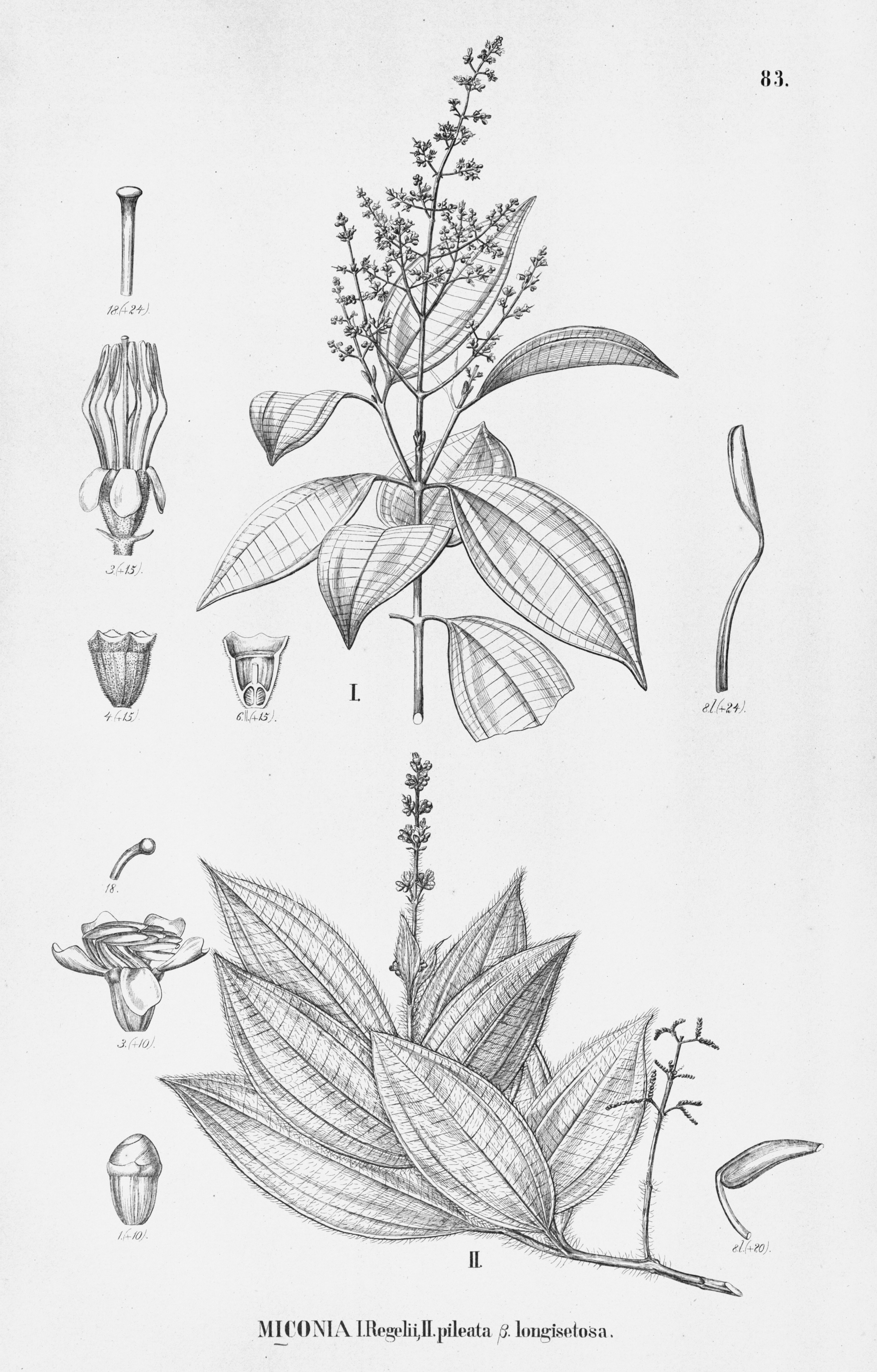 no full size  illustration available (3a)