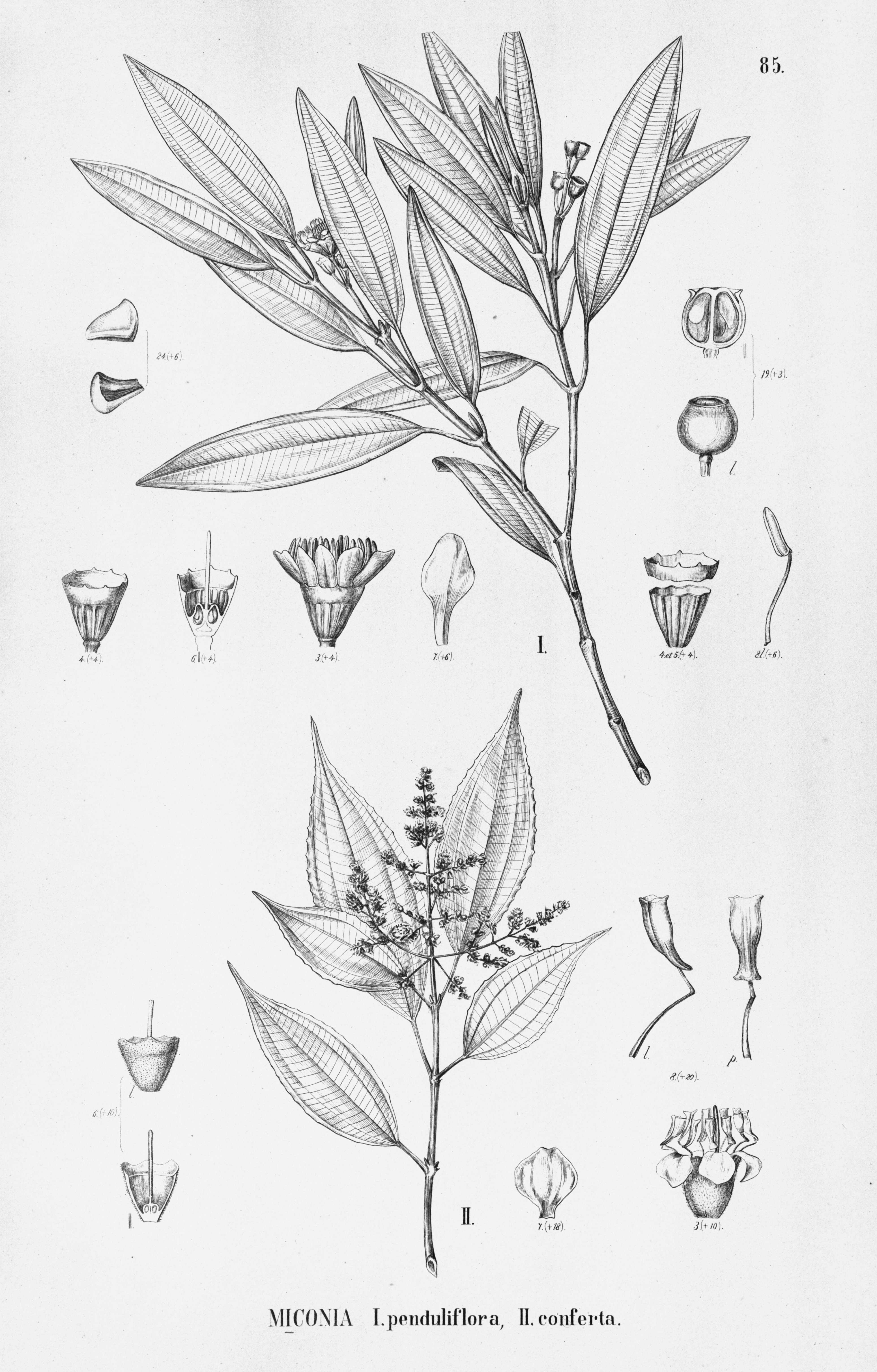 no full size  illustration available (3a)