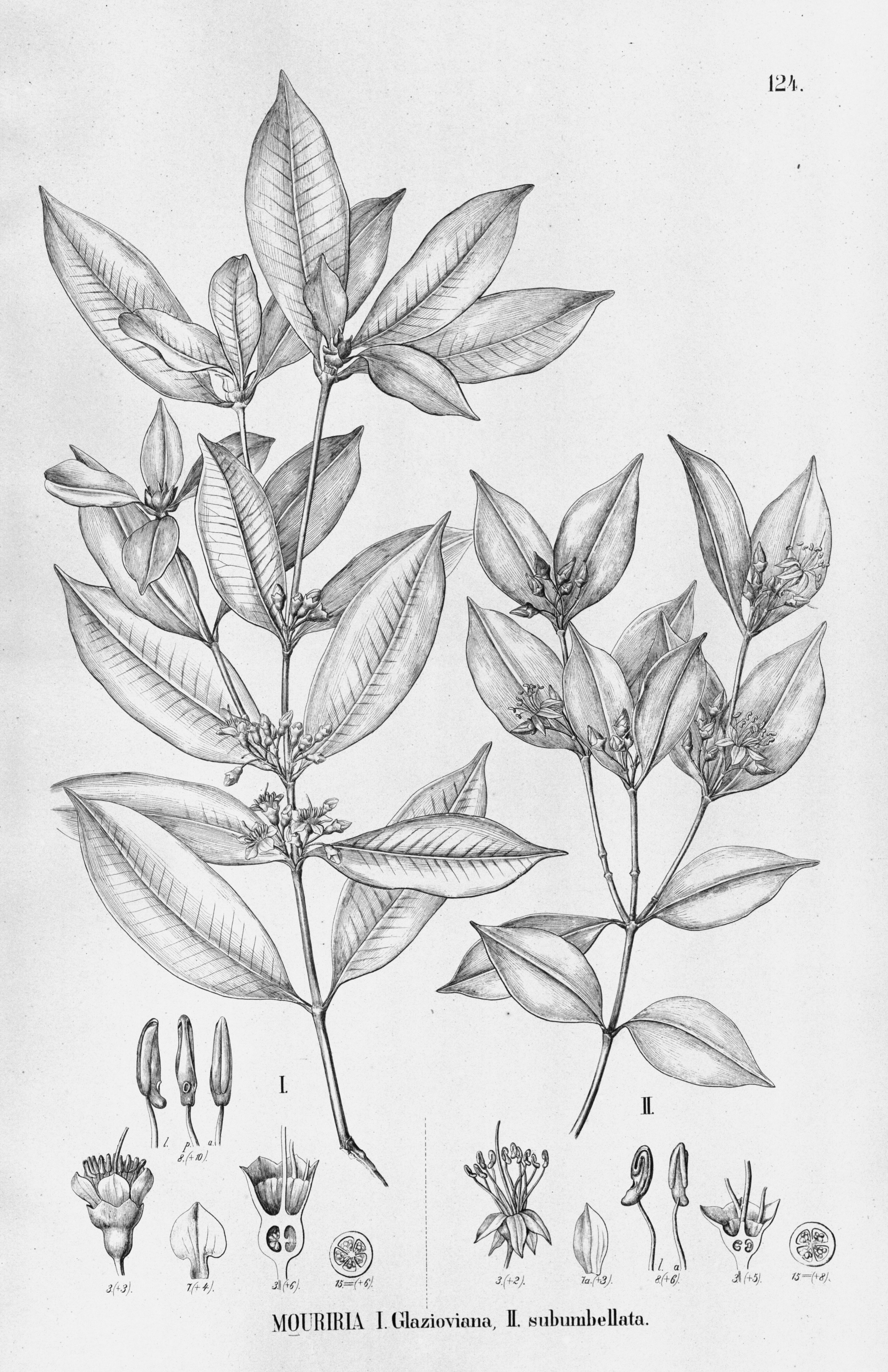 no full size  illustration available (3a)