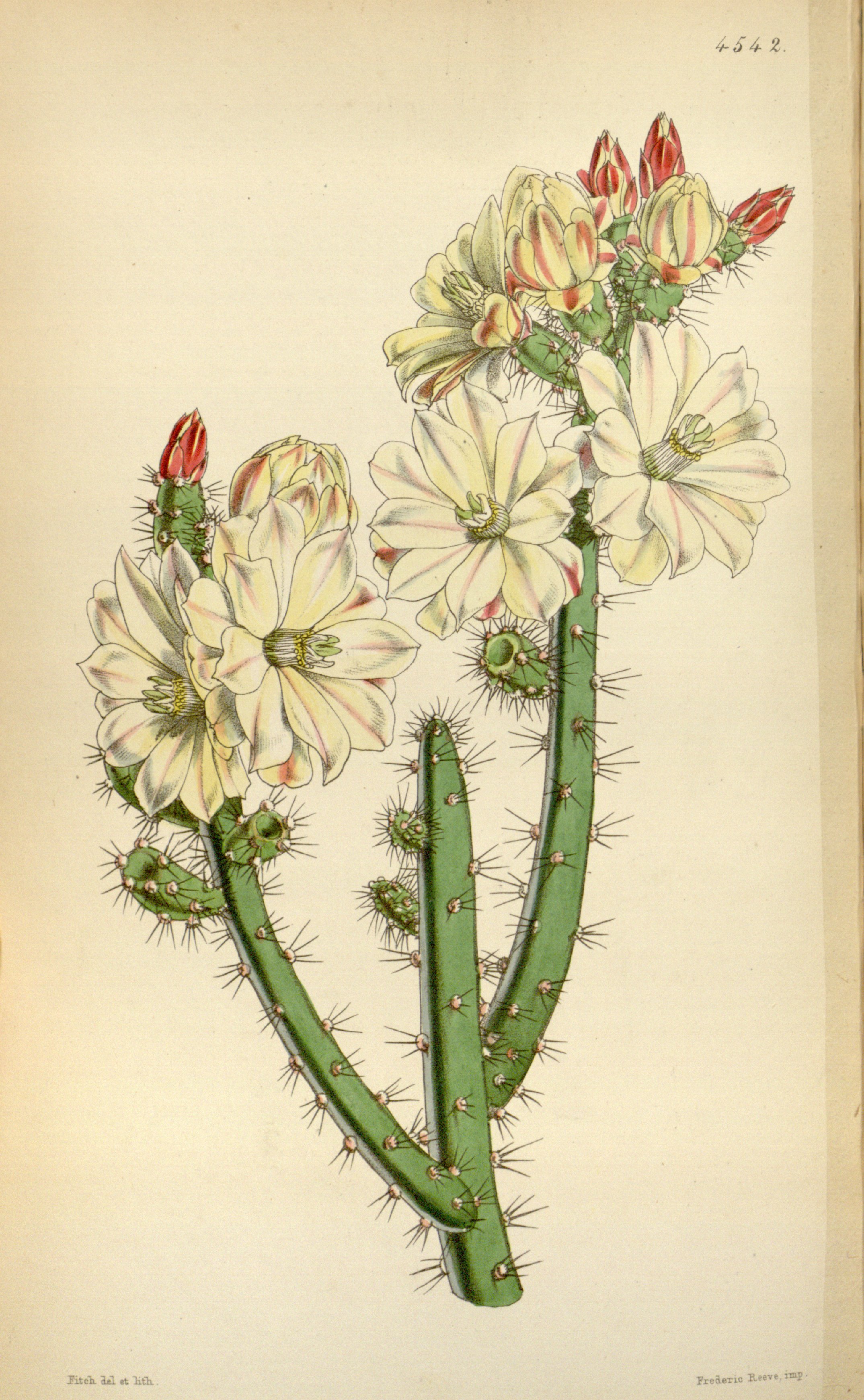 no full size  illustration available (3a)