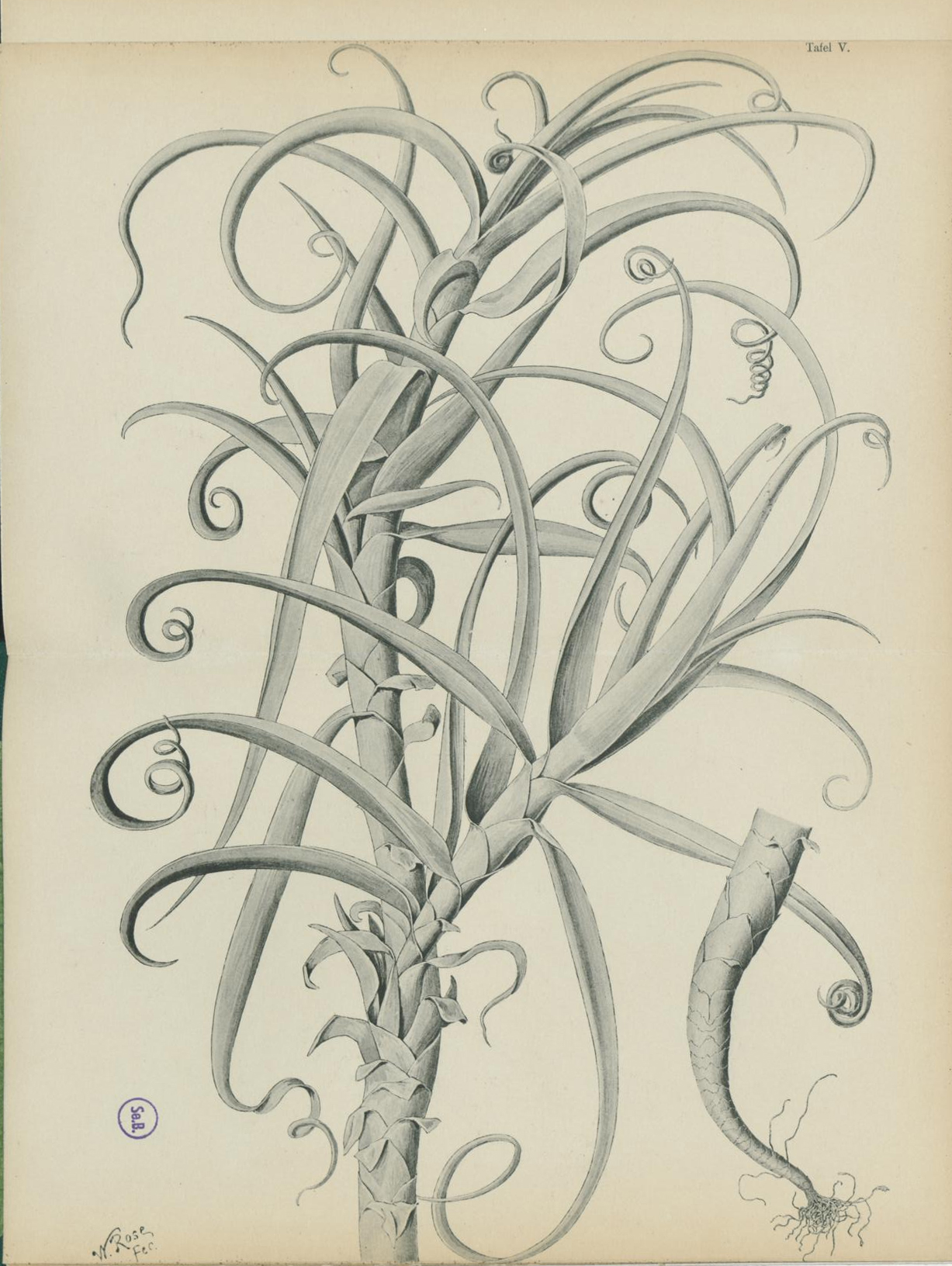 no full size  illustration available (3a)