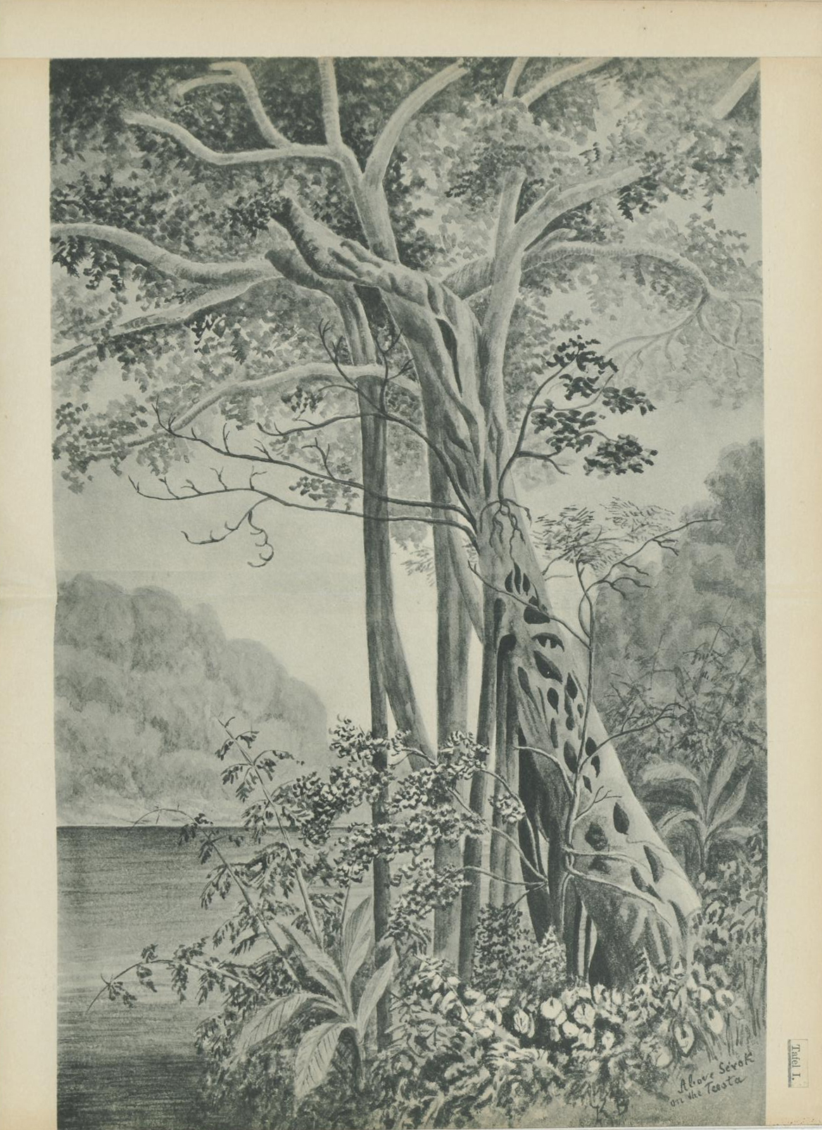 no full size  illustration available (3a)