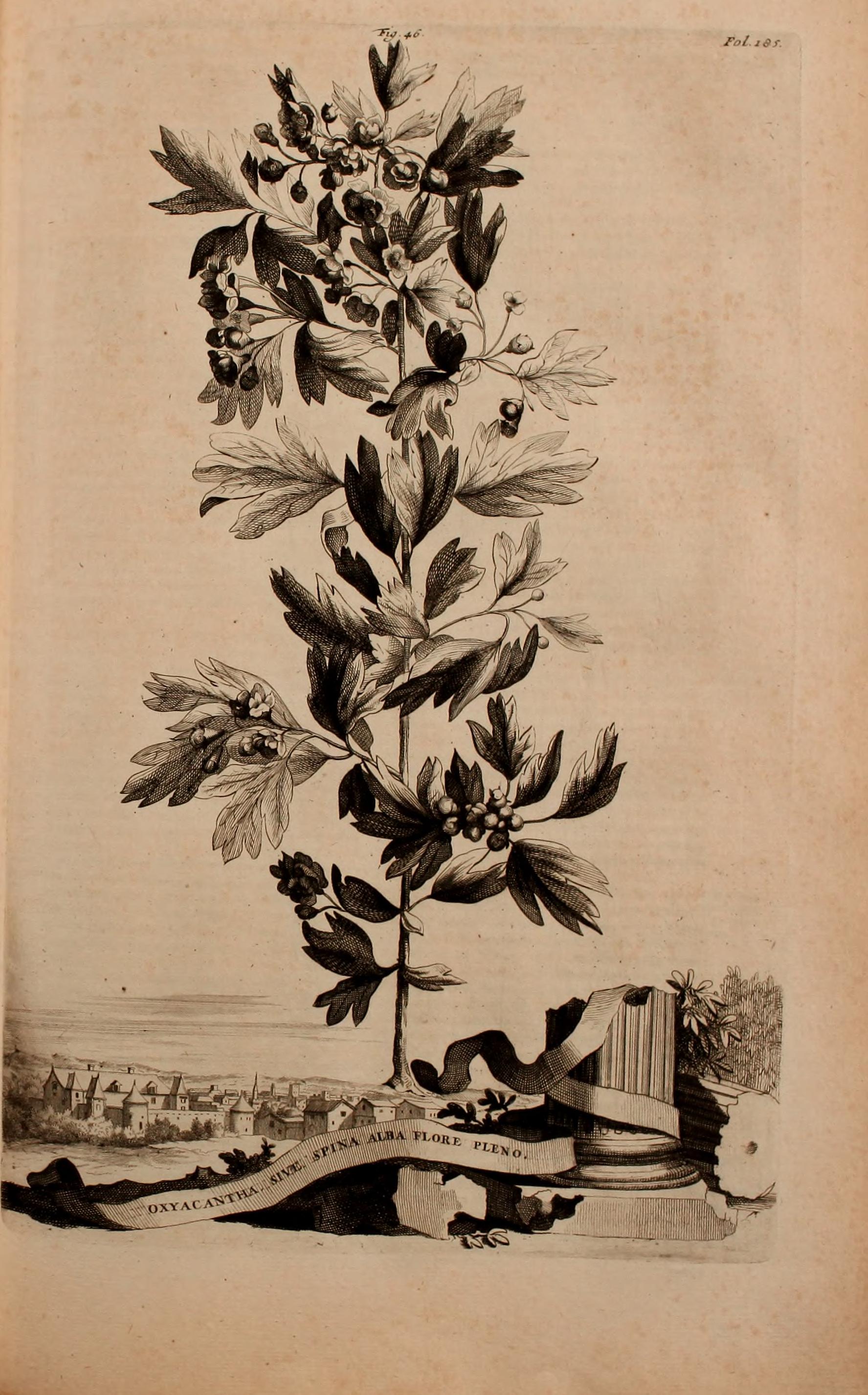 no full size  illustration available (3a)