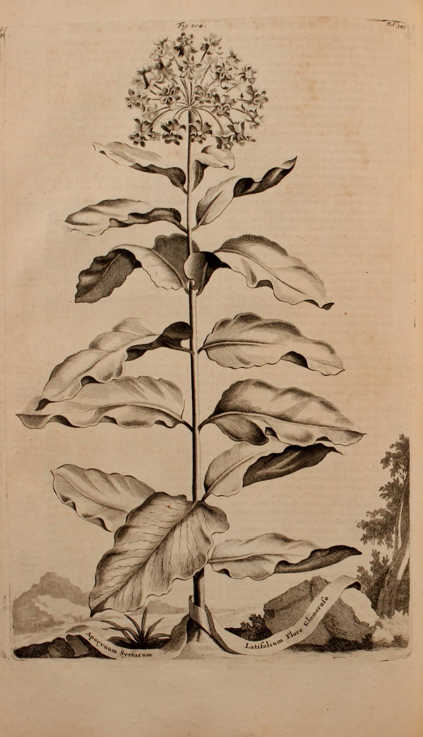 no full size  illustration available (3a)