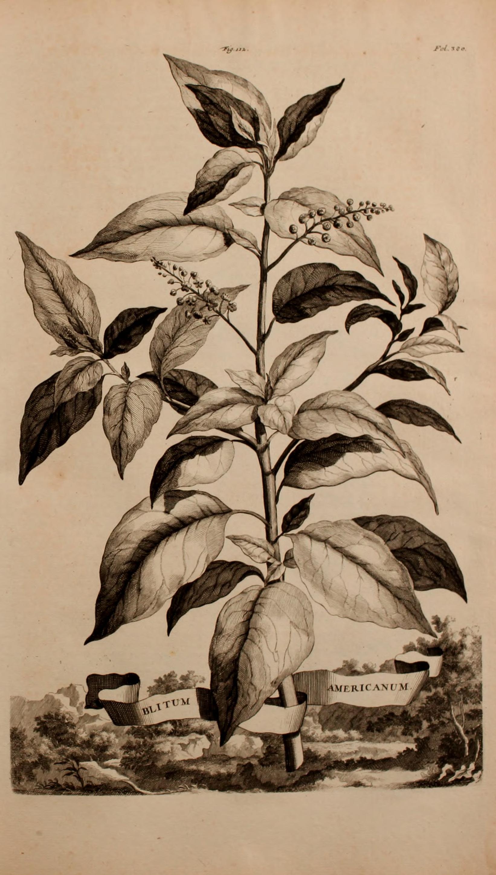 no full size  illustration available (3a)