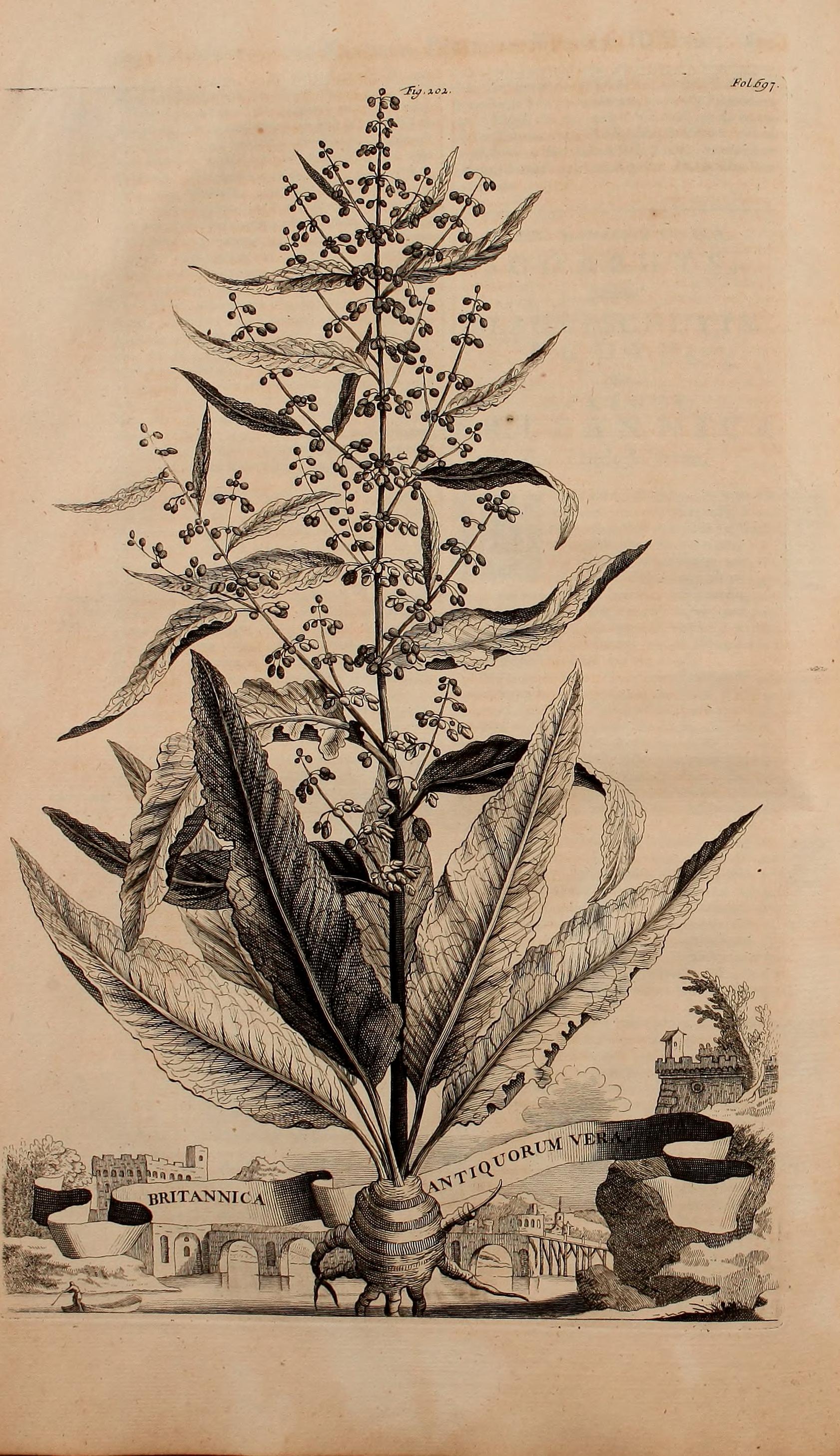 no full size  illustration available (3a)