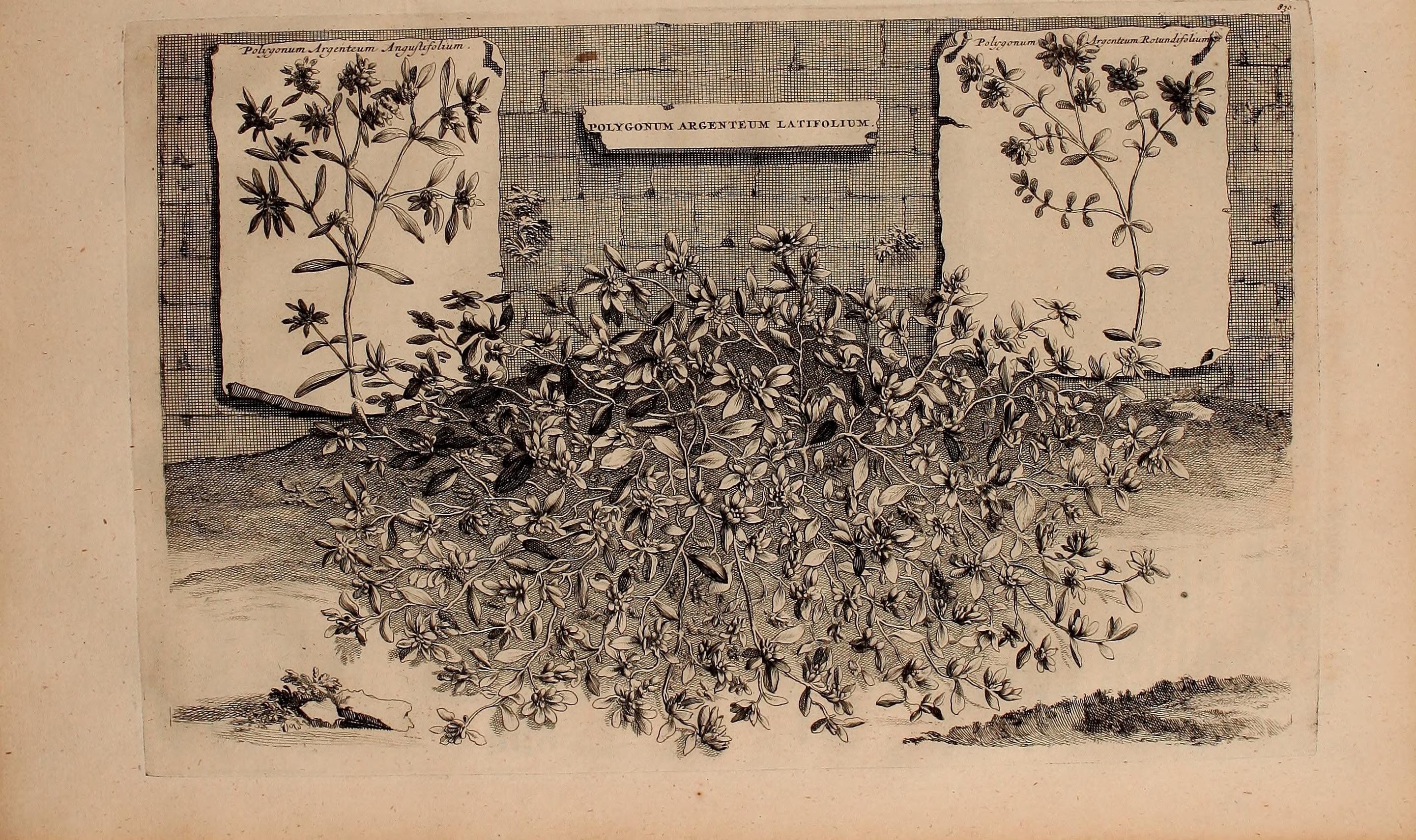 no full size  illustration available (3a)