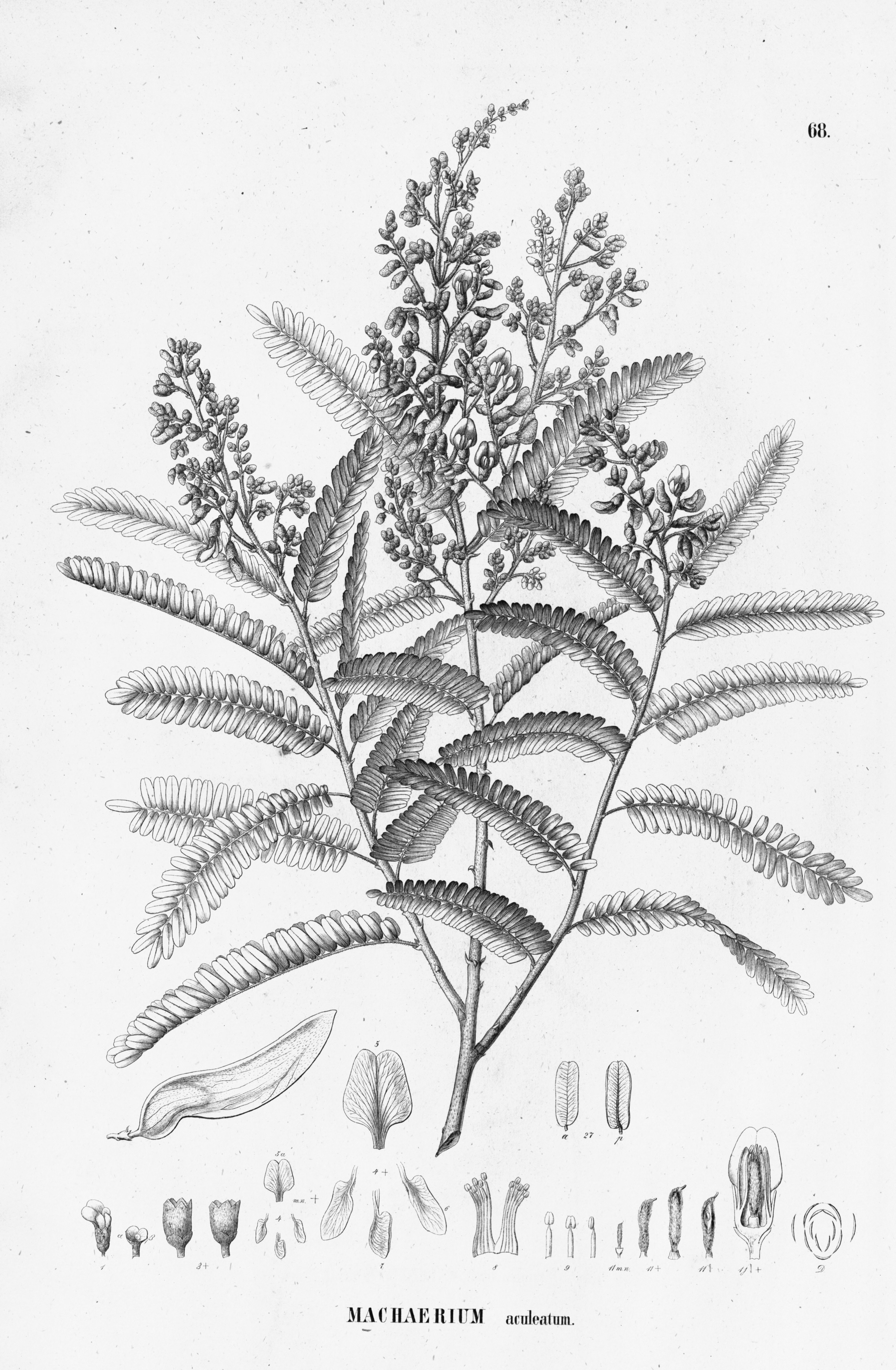 no full size  illustration available (3a)