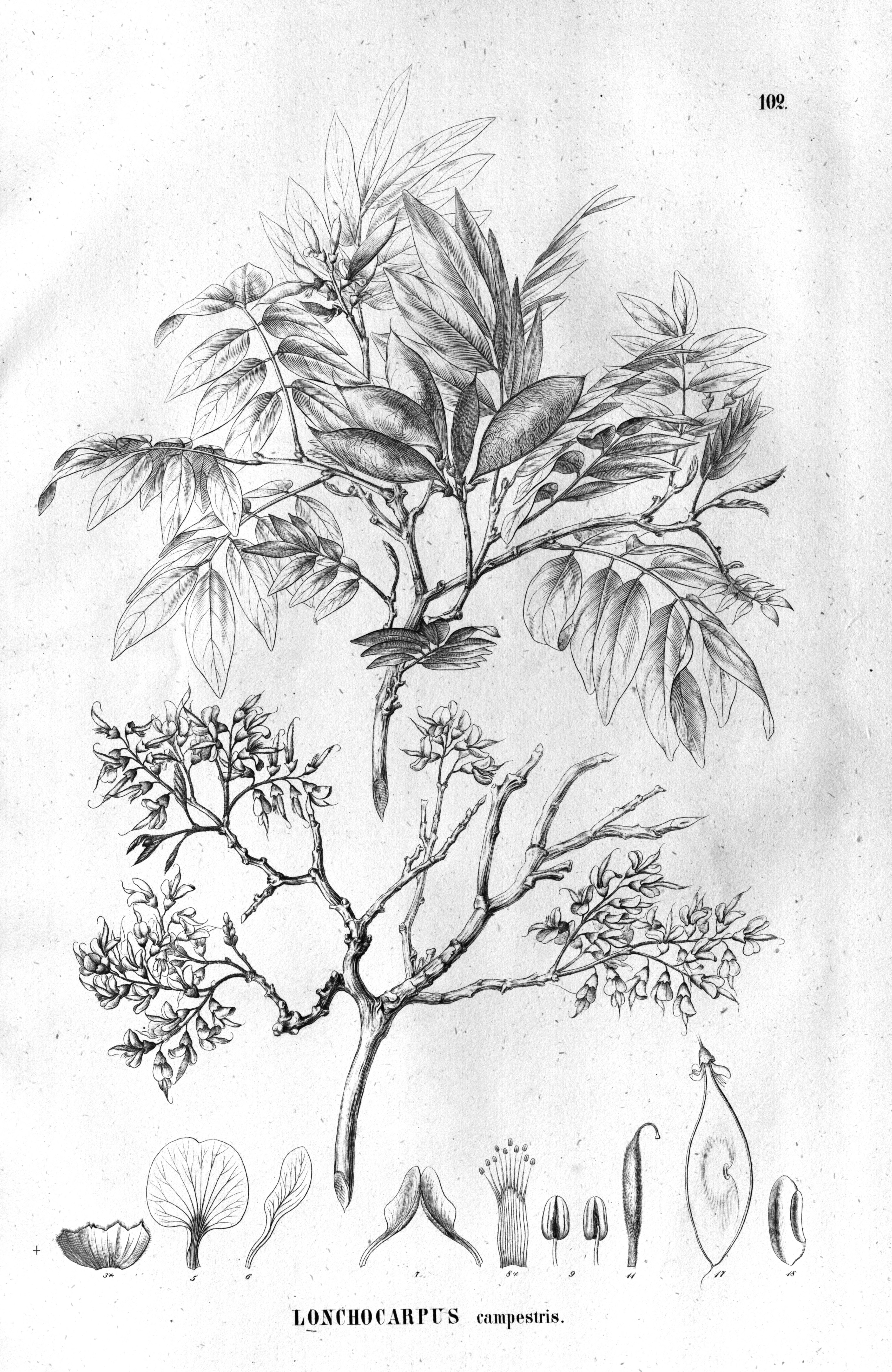 no full size  illustration available (3a)