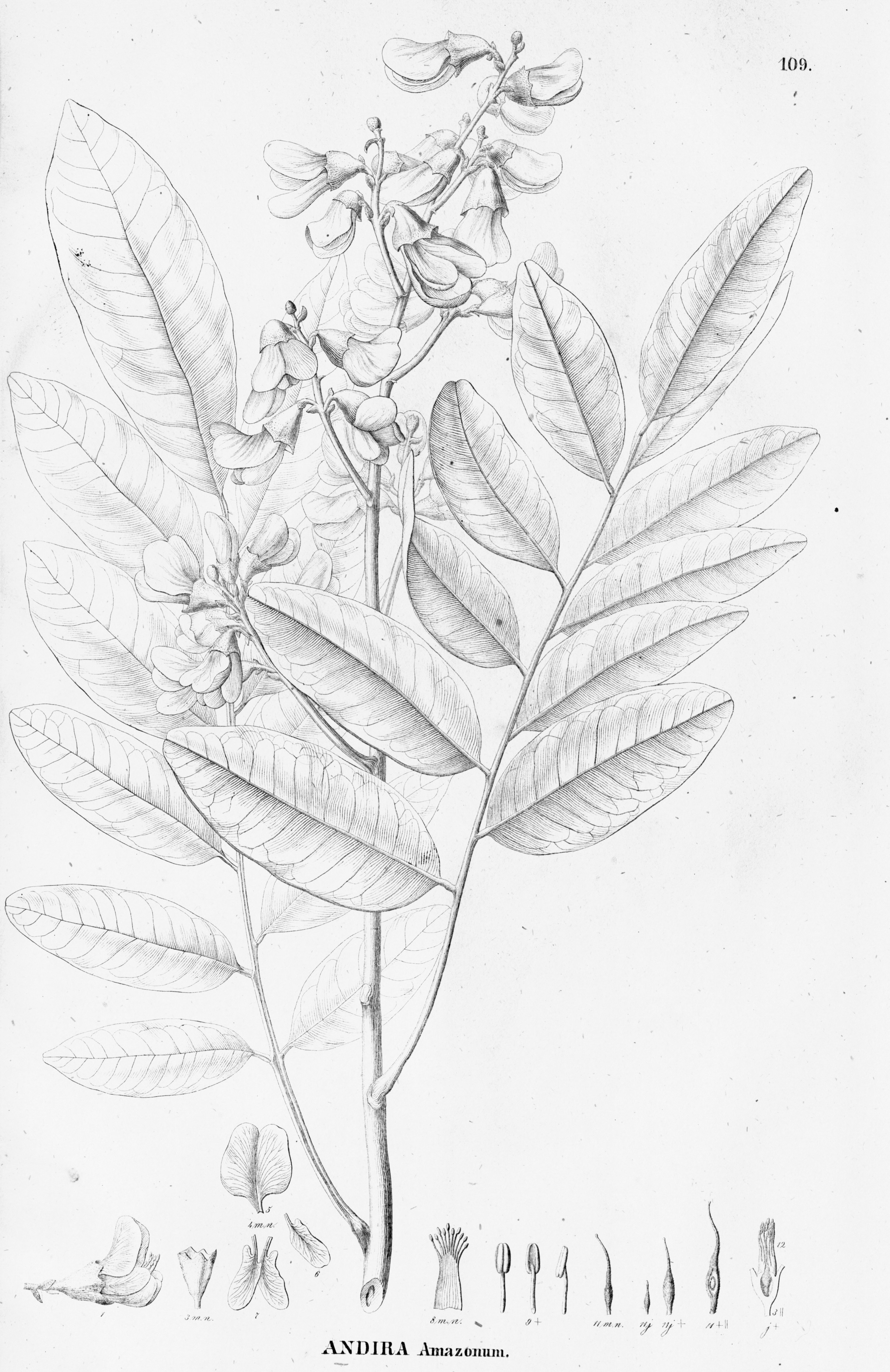 no full size  illustration available (3a)