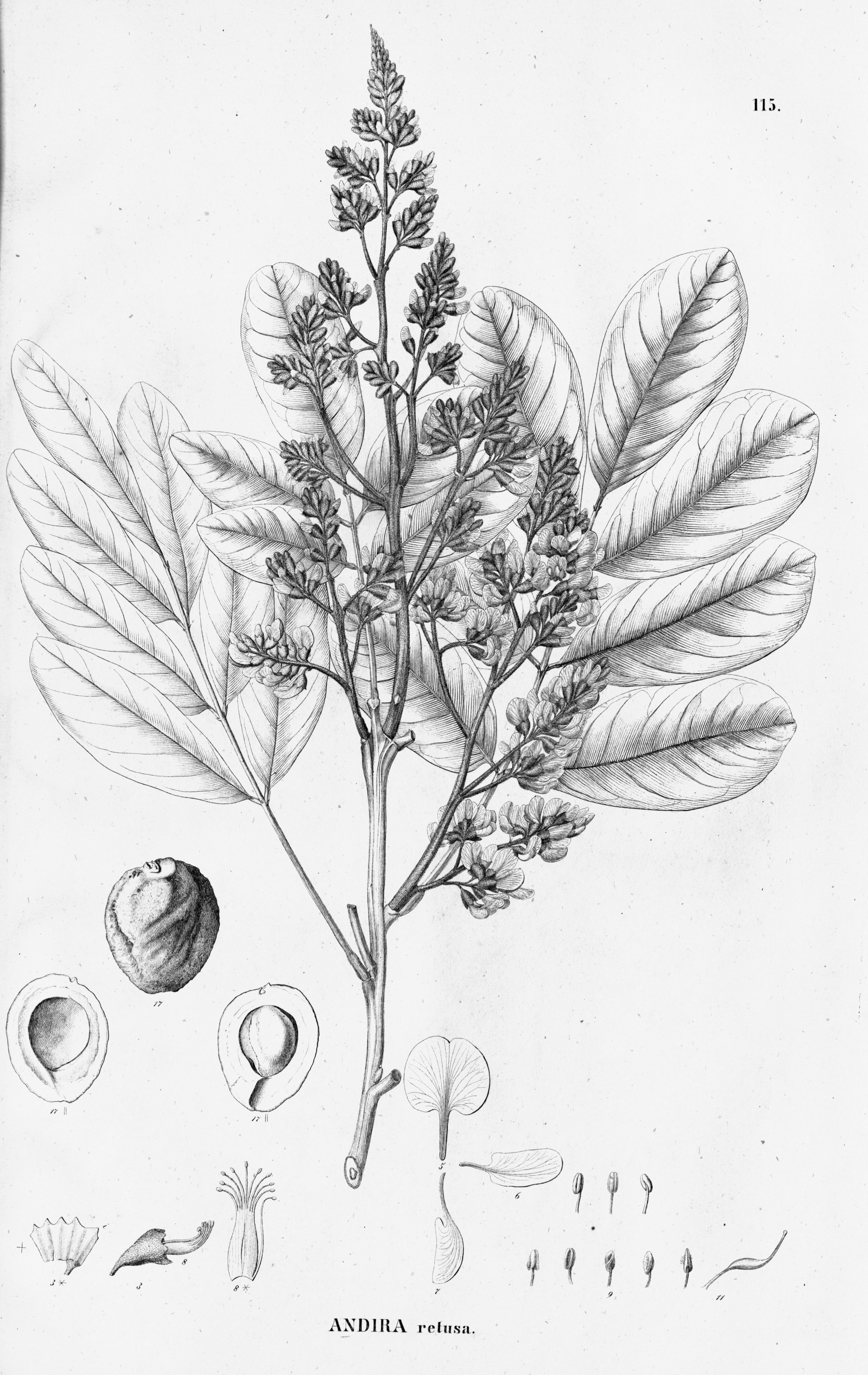 no full size  illustration available (3a)