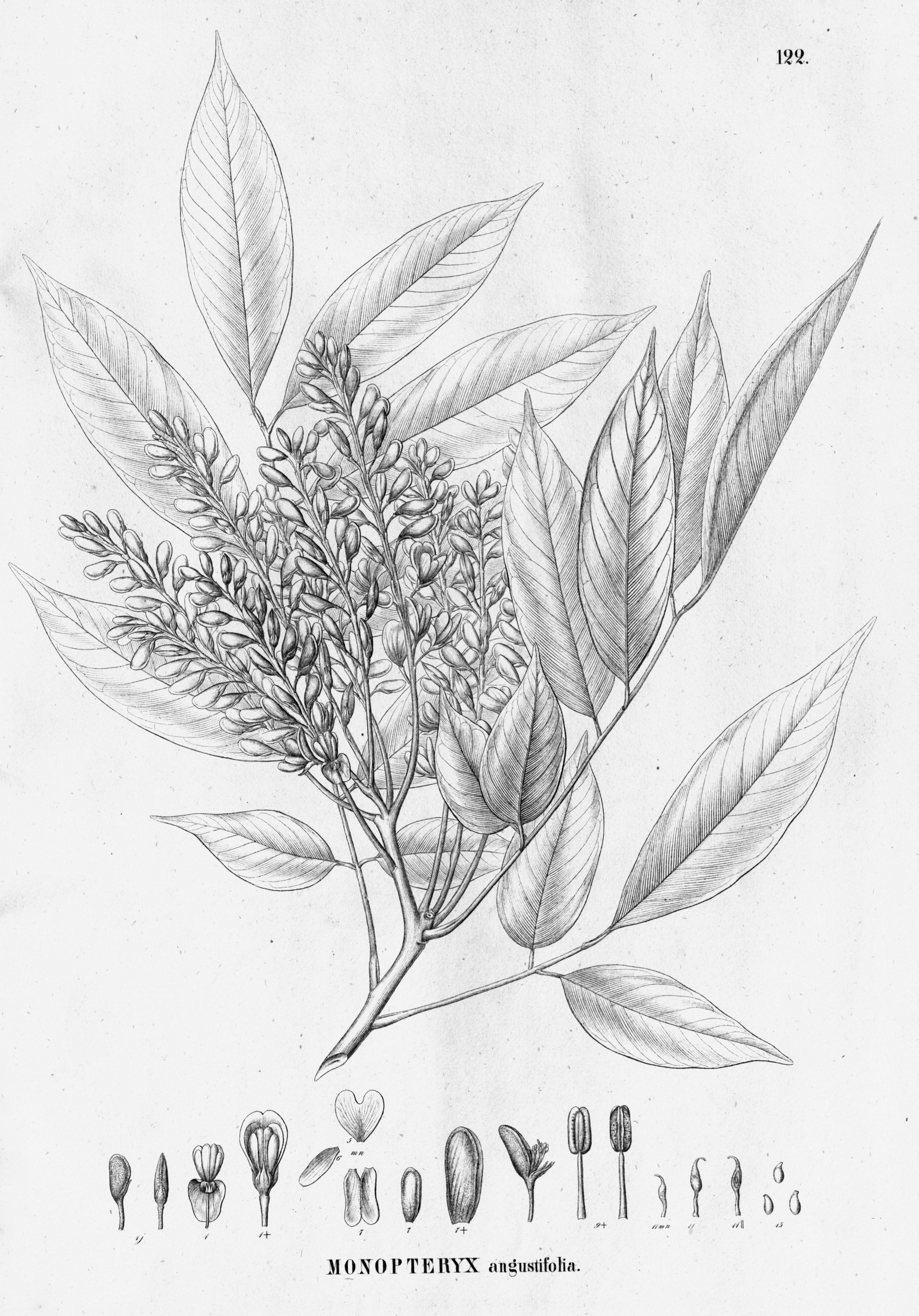 no full size  illustration available (3a)