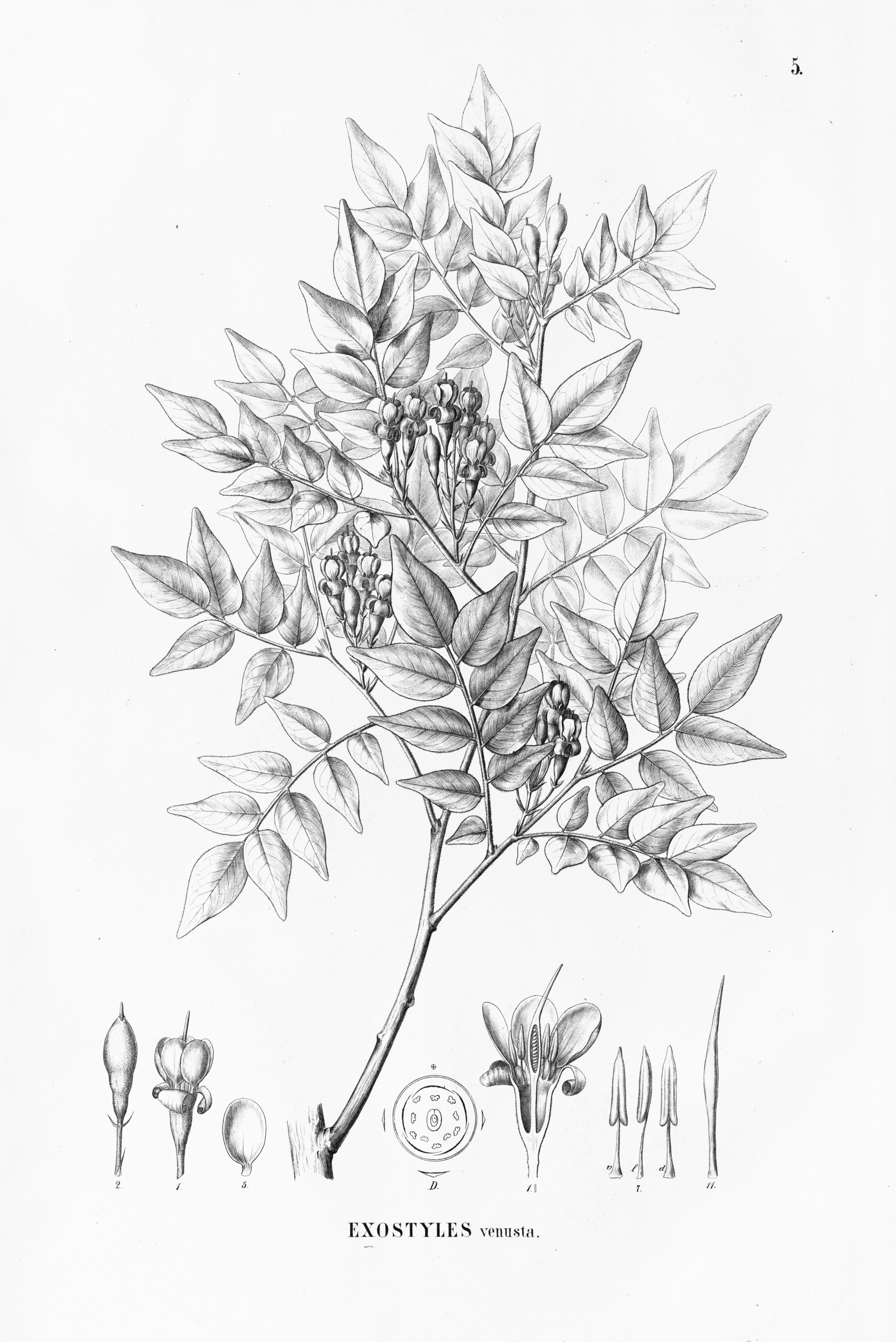 no full size  illustration available (3a)