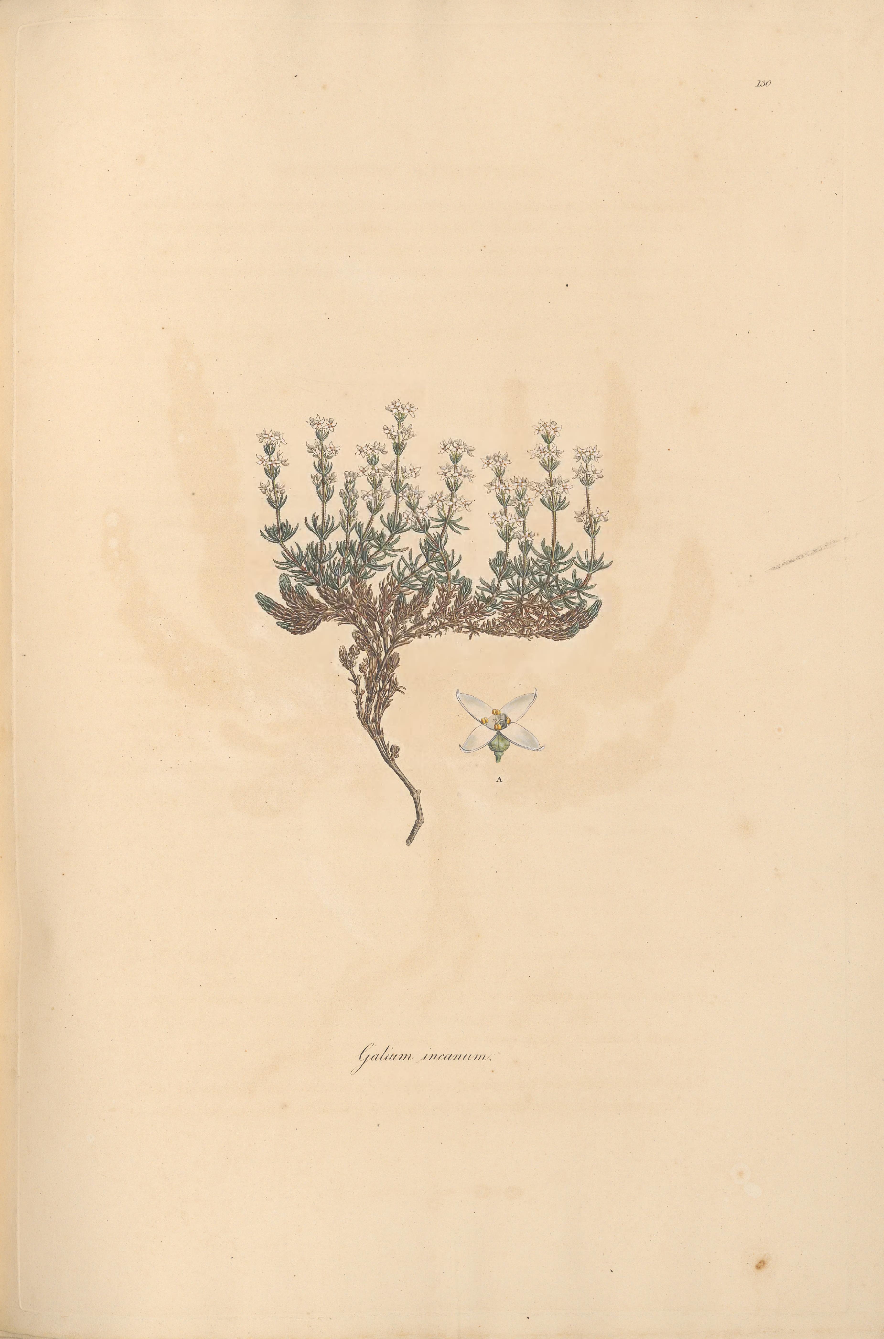 no full size  illustration available (3a)