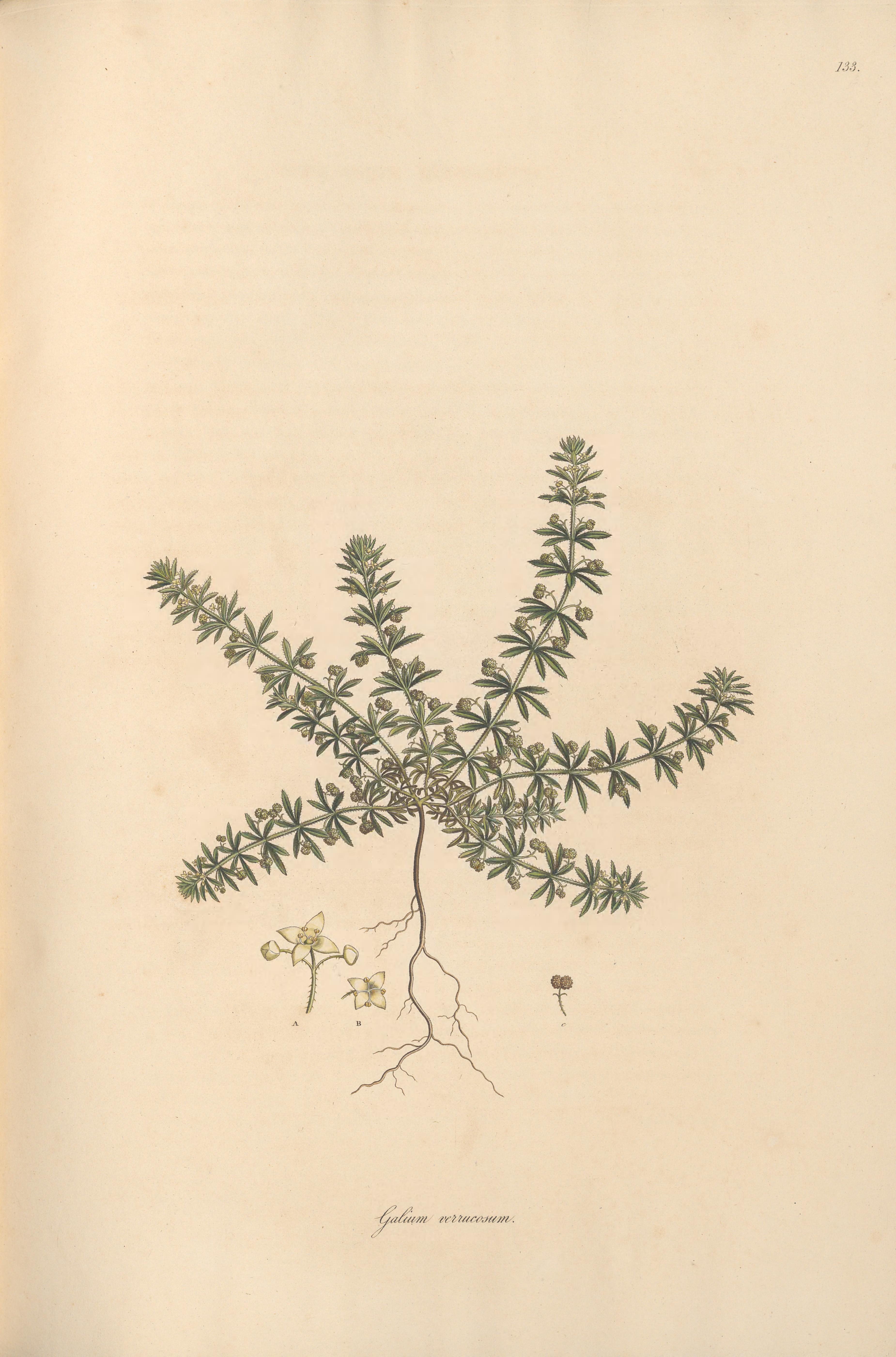 no full size  illustration available (3a)