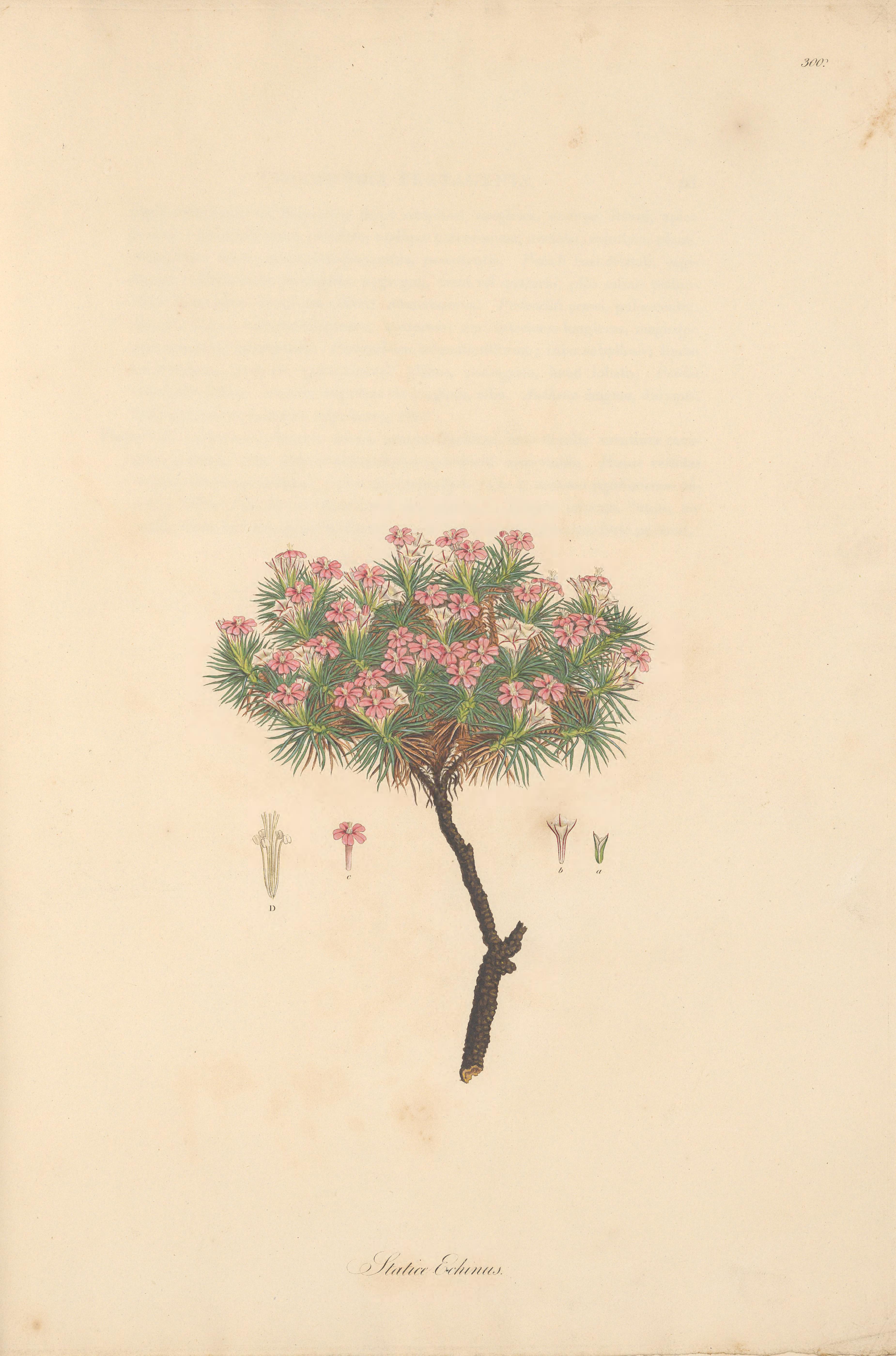 no full size  illustration available (3a)